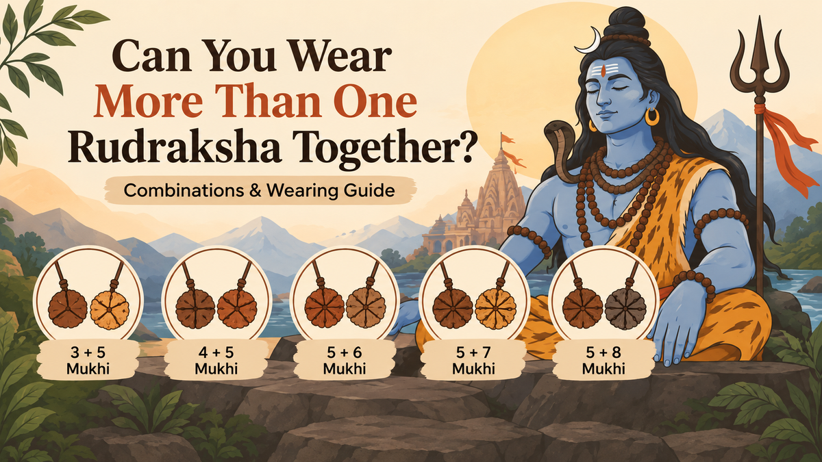 Rudraksha Combinations and Shiva Guide