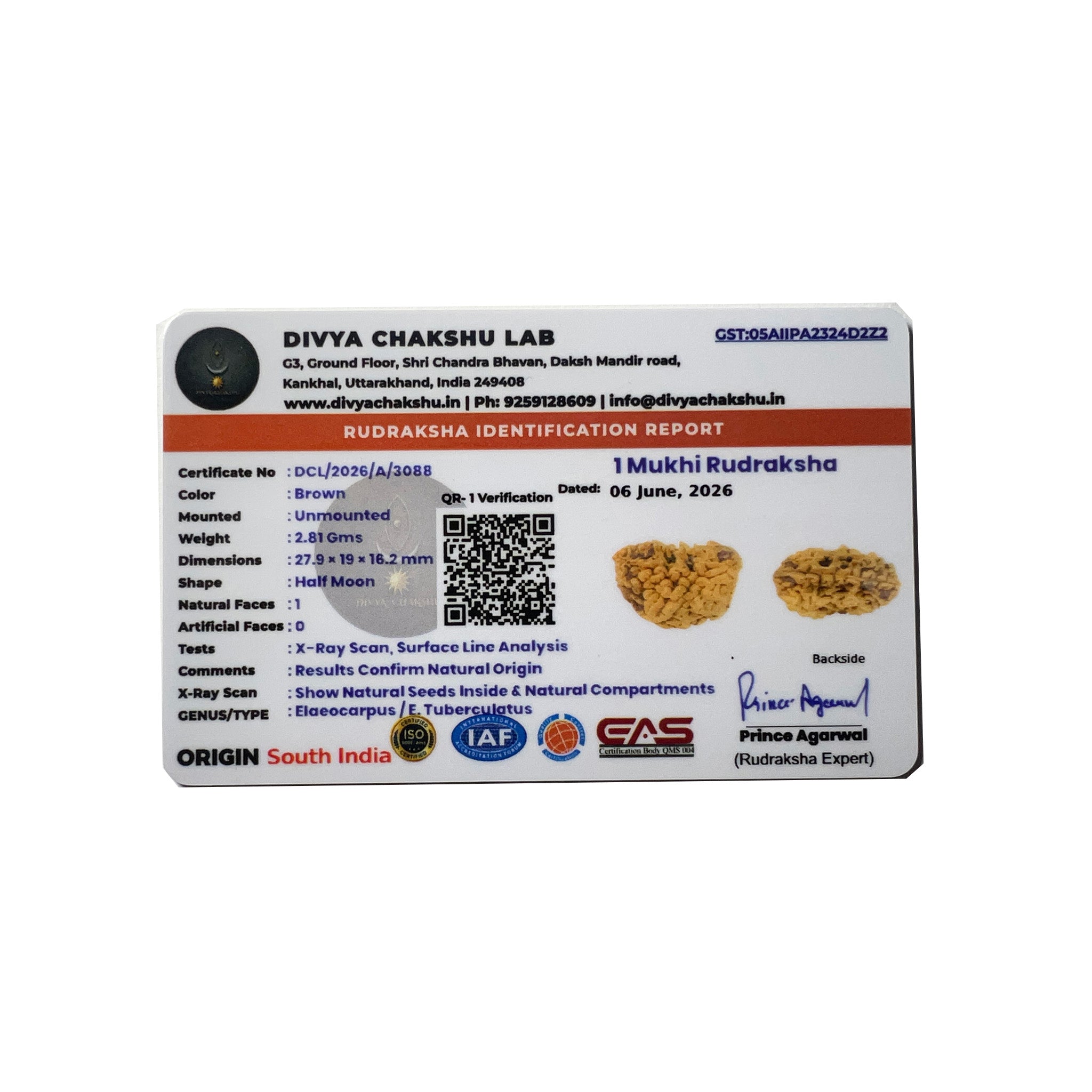 Lab certification report for natural Indian 1 Mukhi Rudraksha Kaju Shape bead