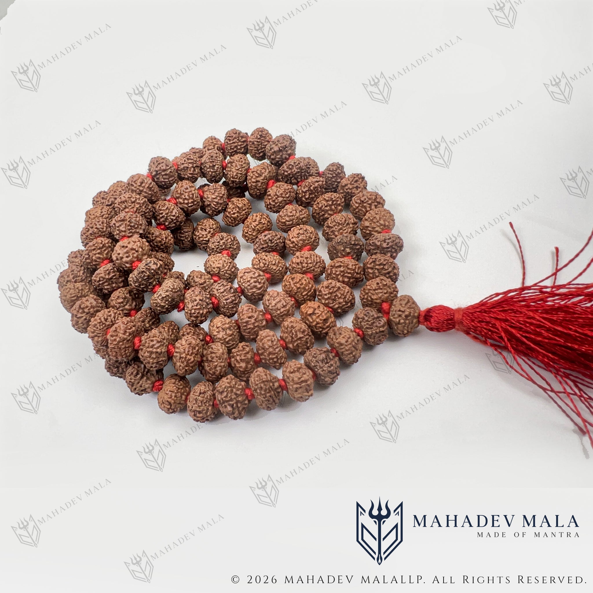 Coiled Indonesian 10 Mukhi Rudraksha Japa Mala with red tassel