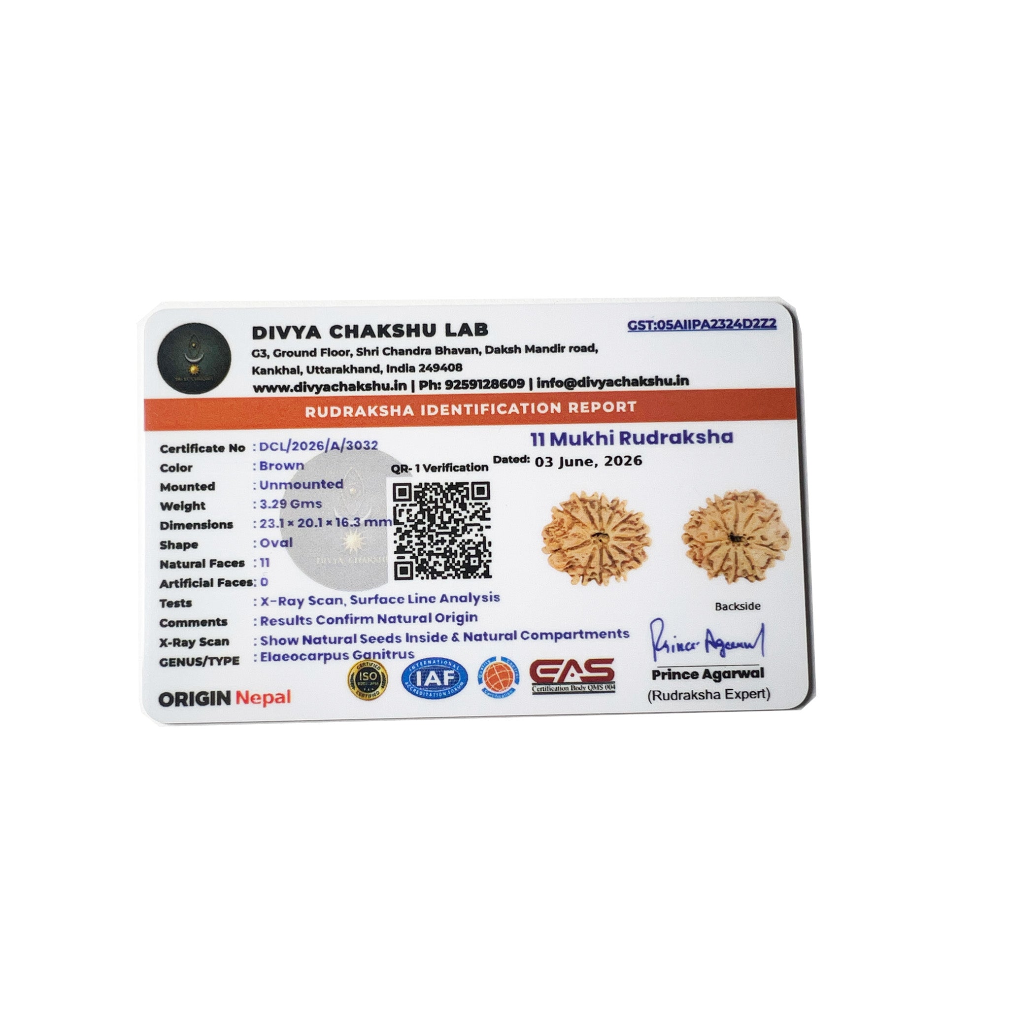 Lab certificate for natural Nepali 11 Mukhi Rudraksha bead