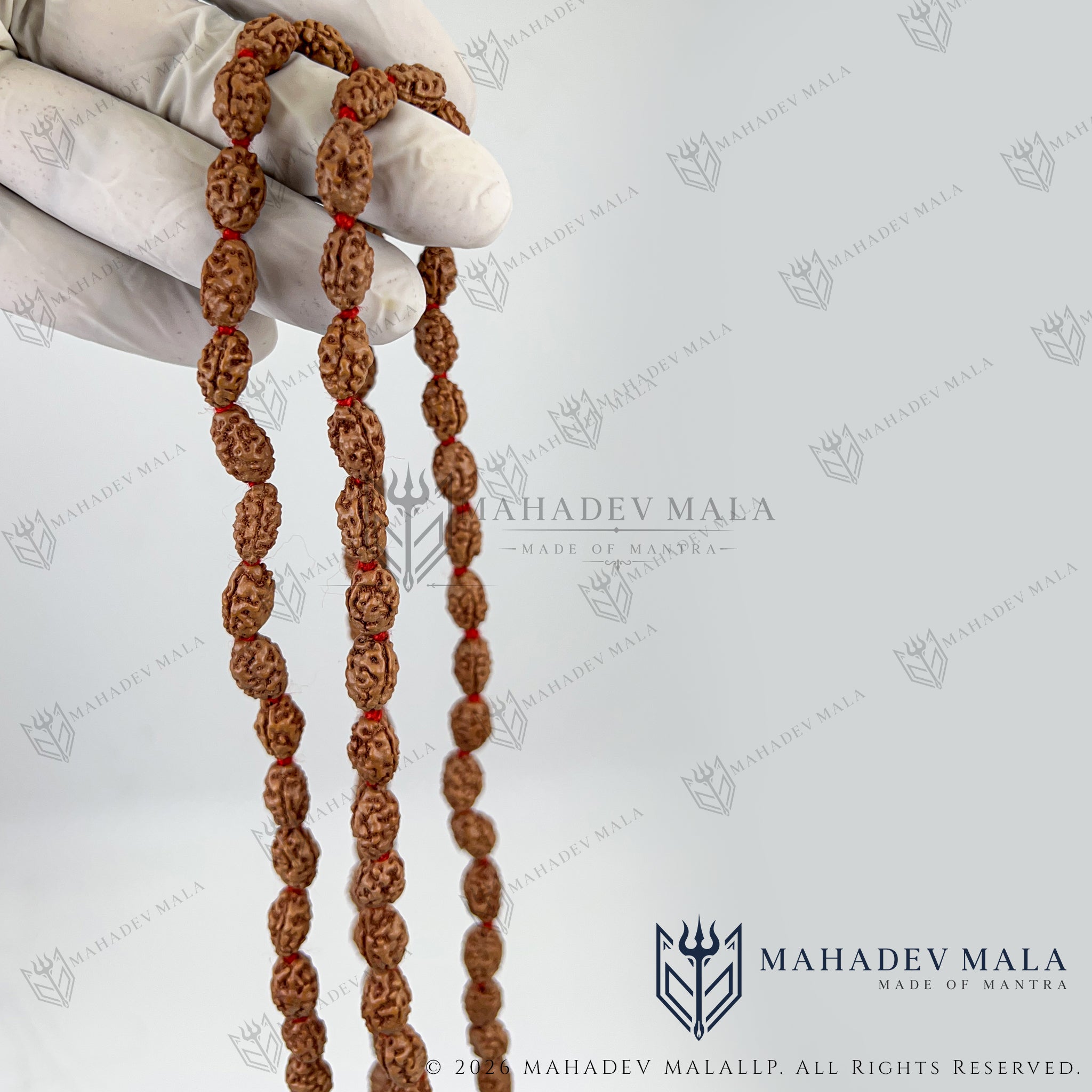 Full-length view of Indonesian 2 Mukhi Rudraksha Japa Mala with tassel