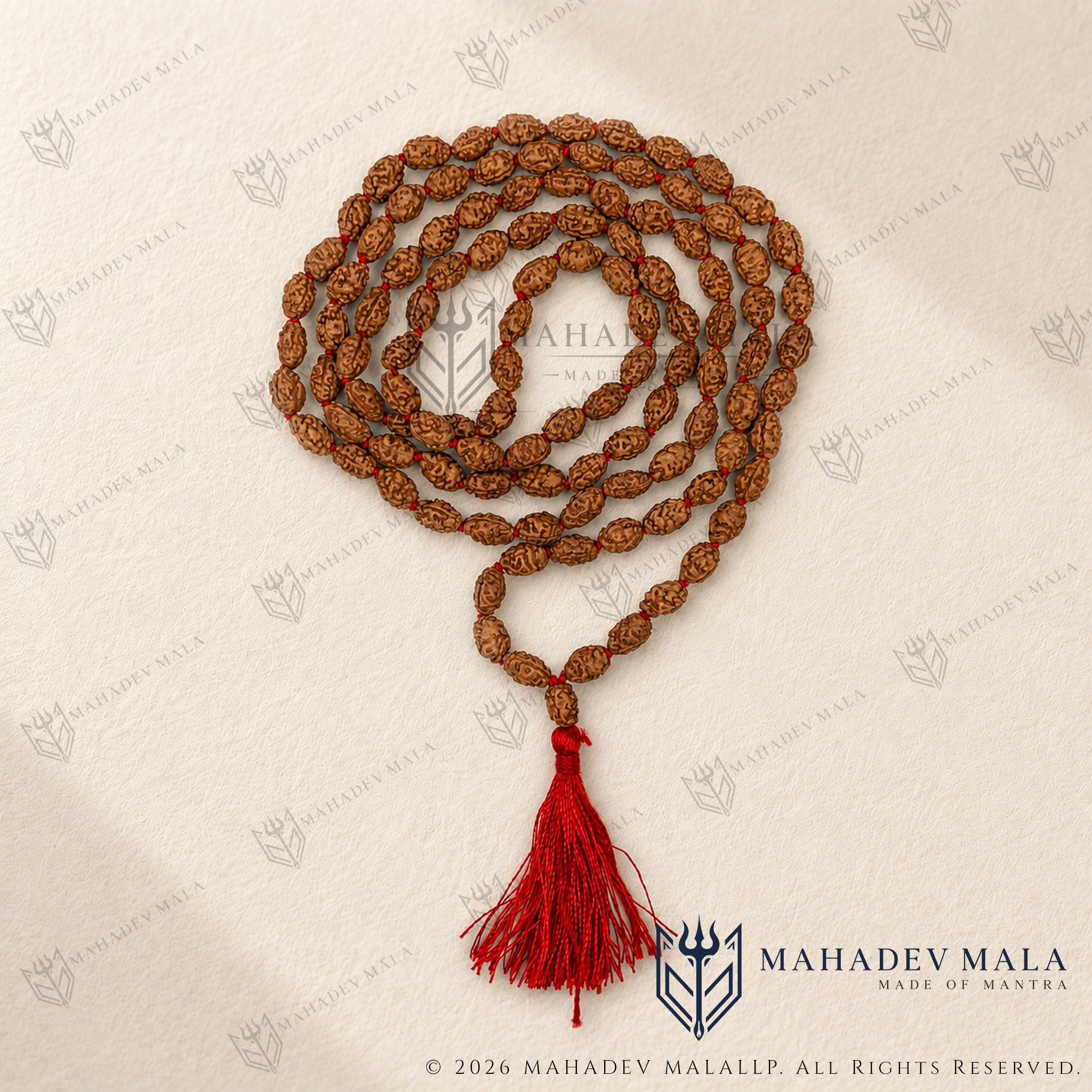 Indonesian 2 Mukhi Rudraksha Japa Mala with 108 plus 1 natural beads