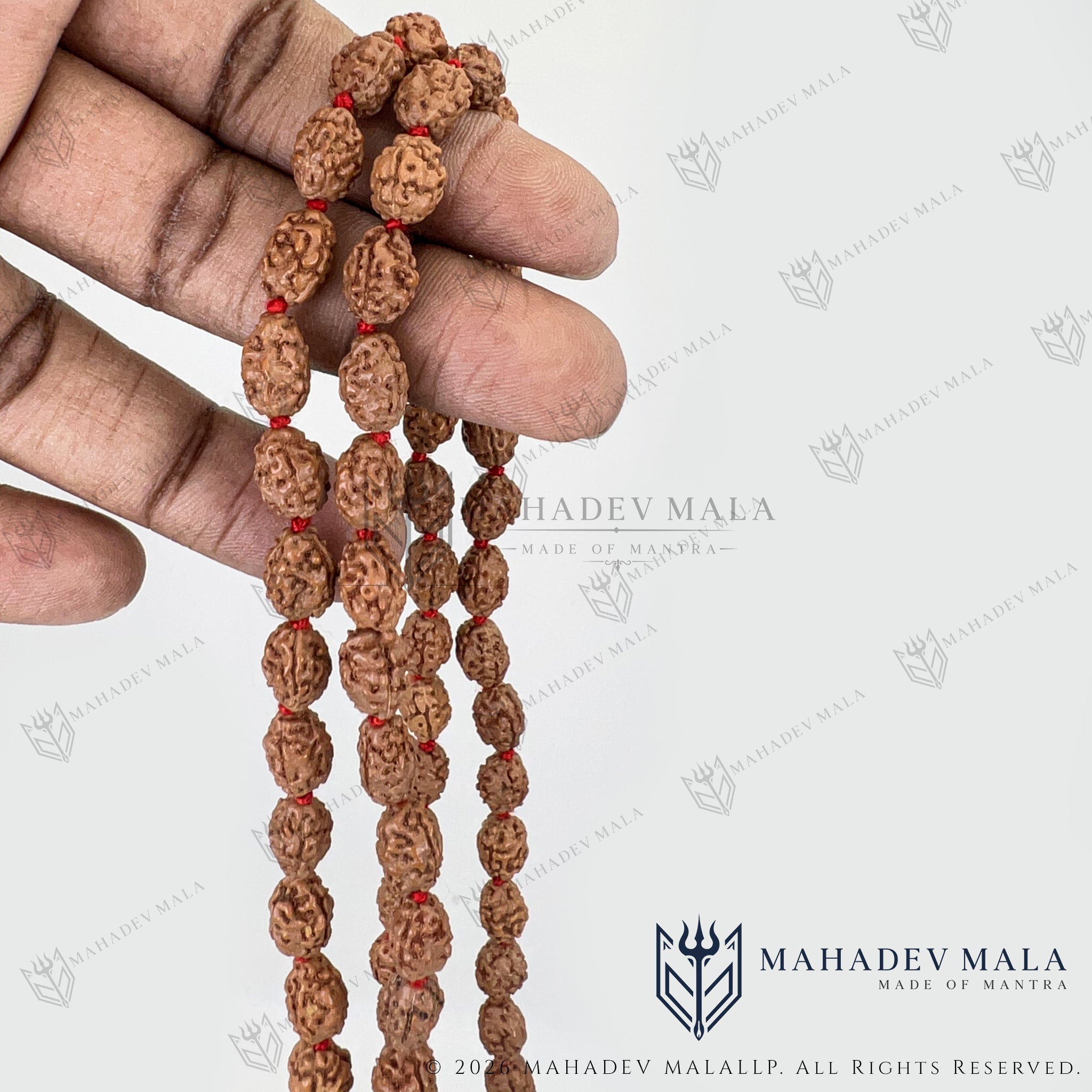 Indonesian 3 Mukhi Rudraksha Japa Mala held to show its bead length