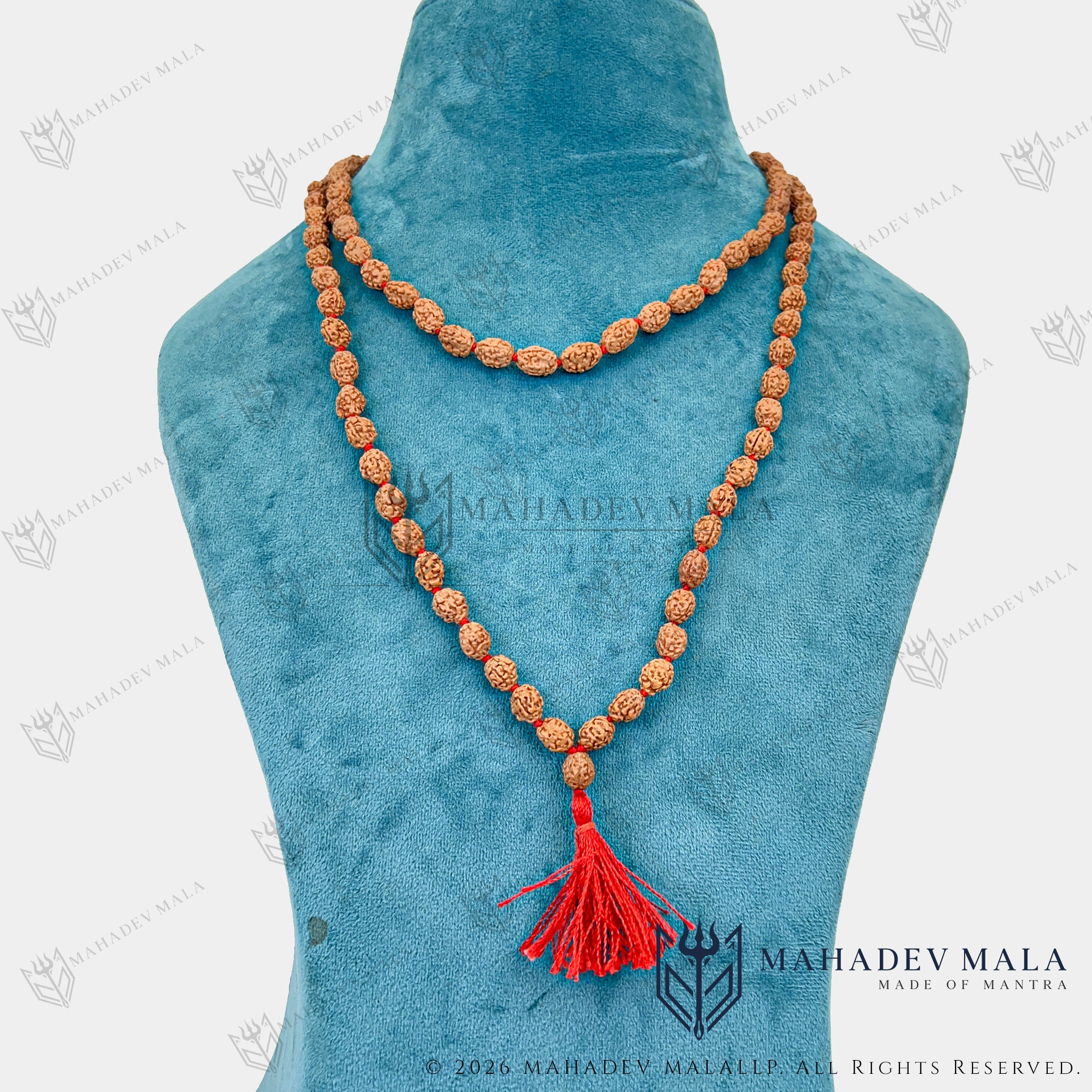 Indonesian 3 Mukhi Rudraksha Japa Mala worn as a long necklac