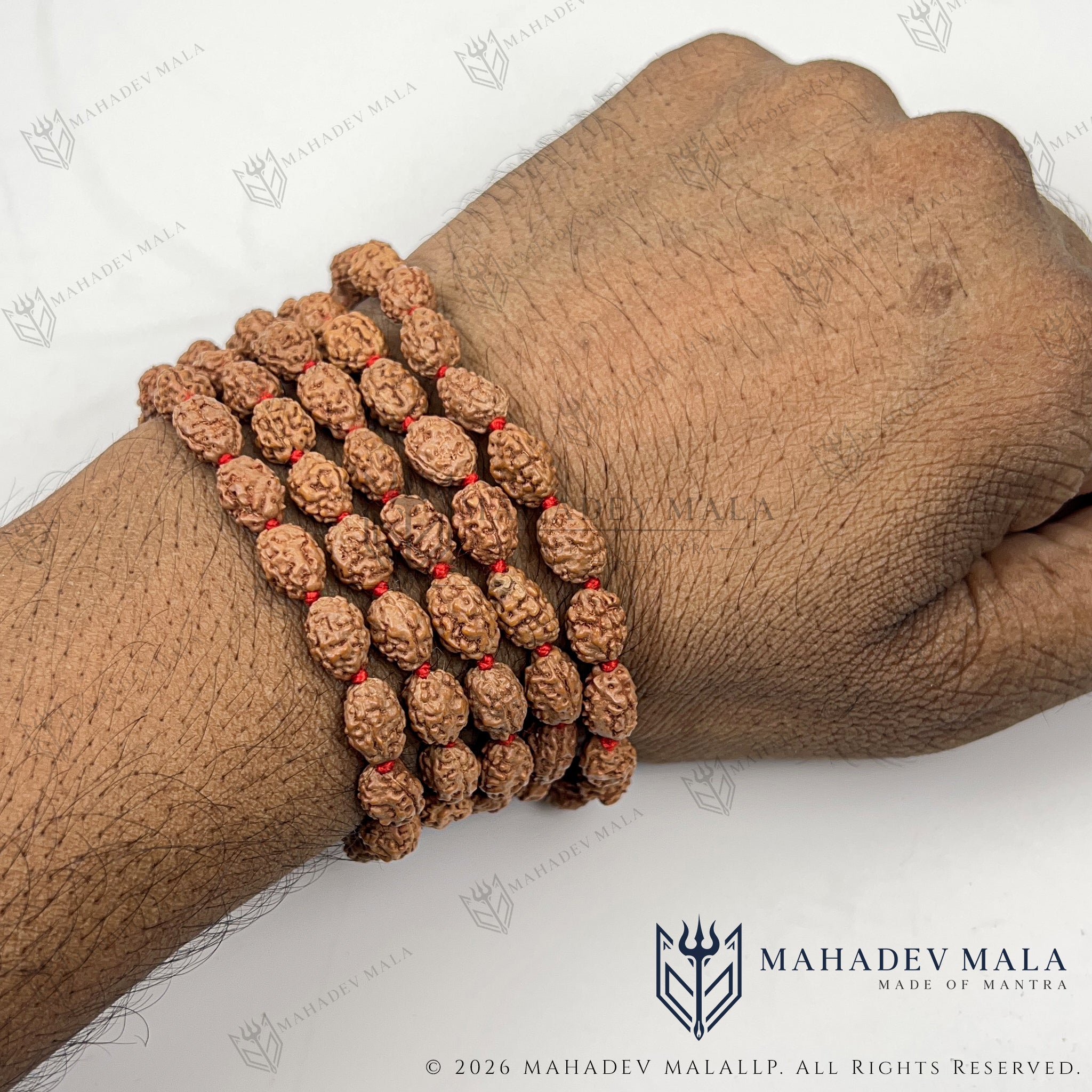 Lightweight Indonesian 3 Mukhi Rudraksha Japa Mala wrapped around the wrist