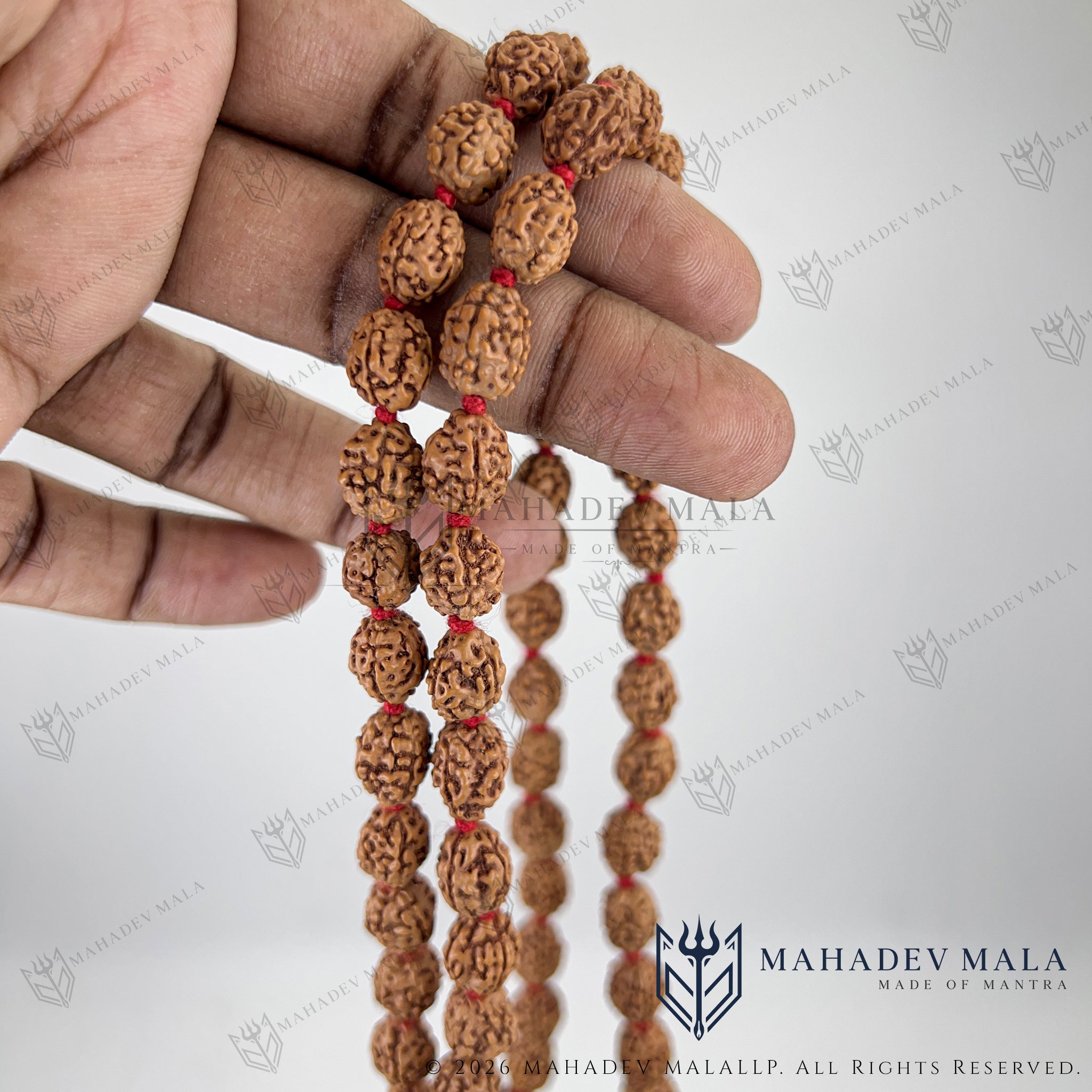Indonesian 4 Mukhi Rudraksha Japa Mala held to show its full length