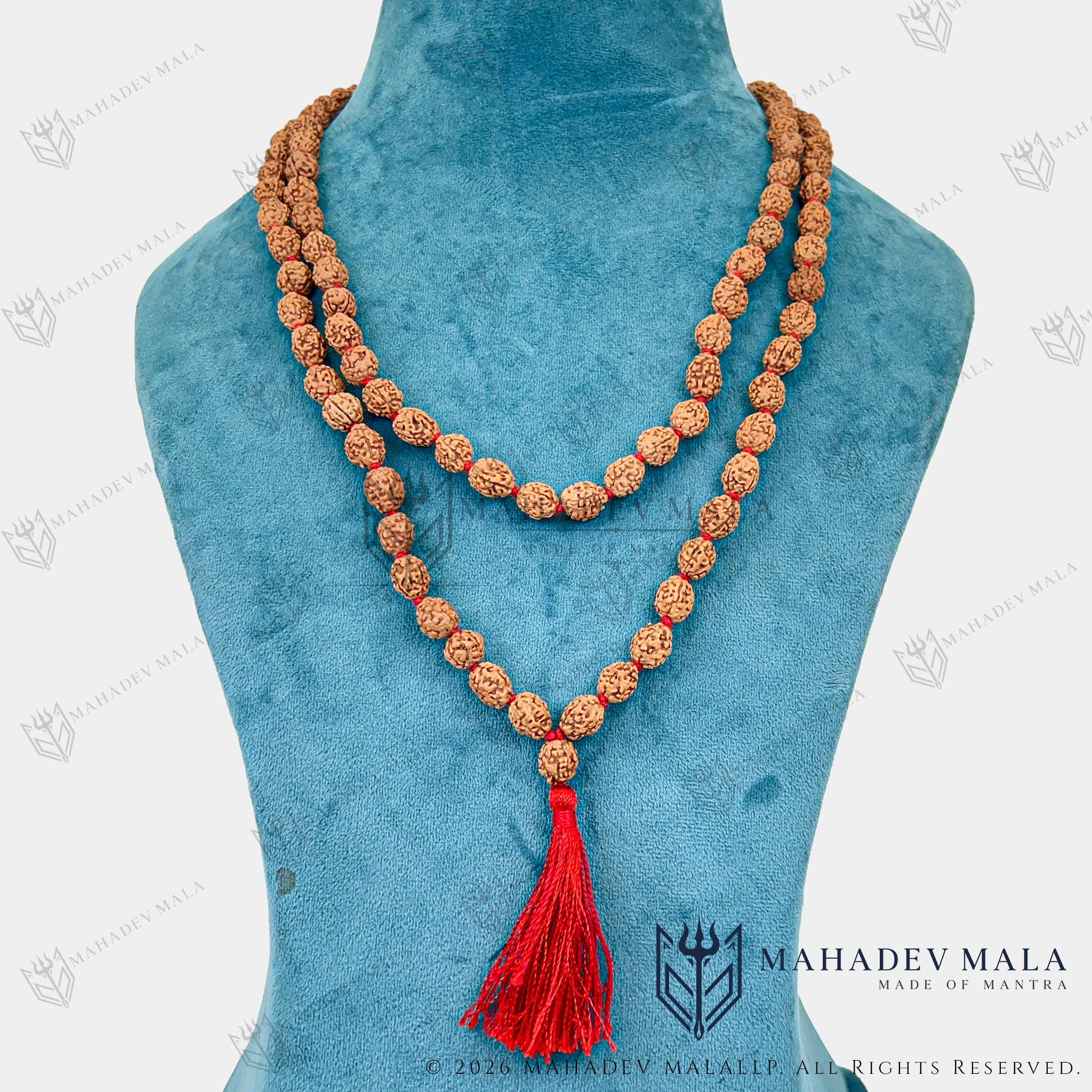 Indonesian 4 Mukhi Rudraksha Japa Mala worn as a long necklace