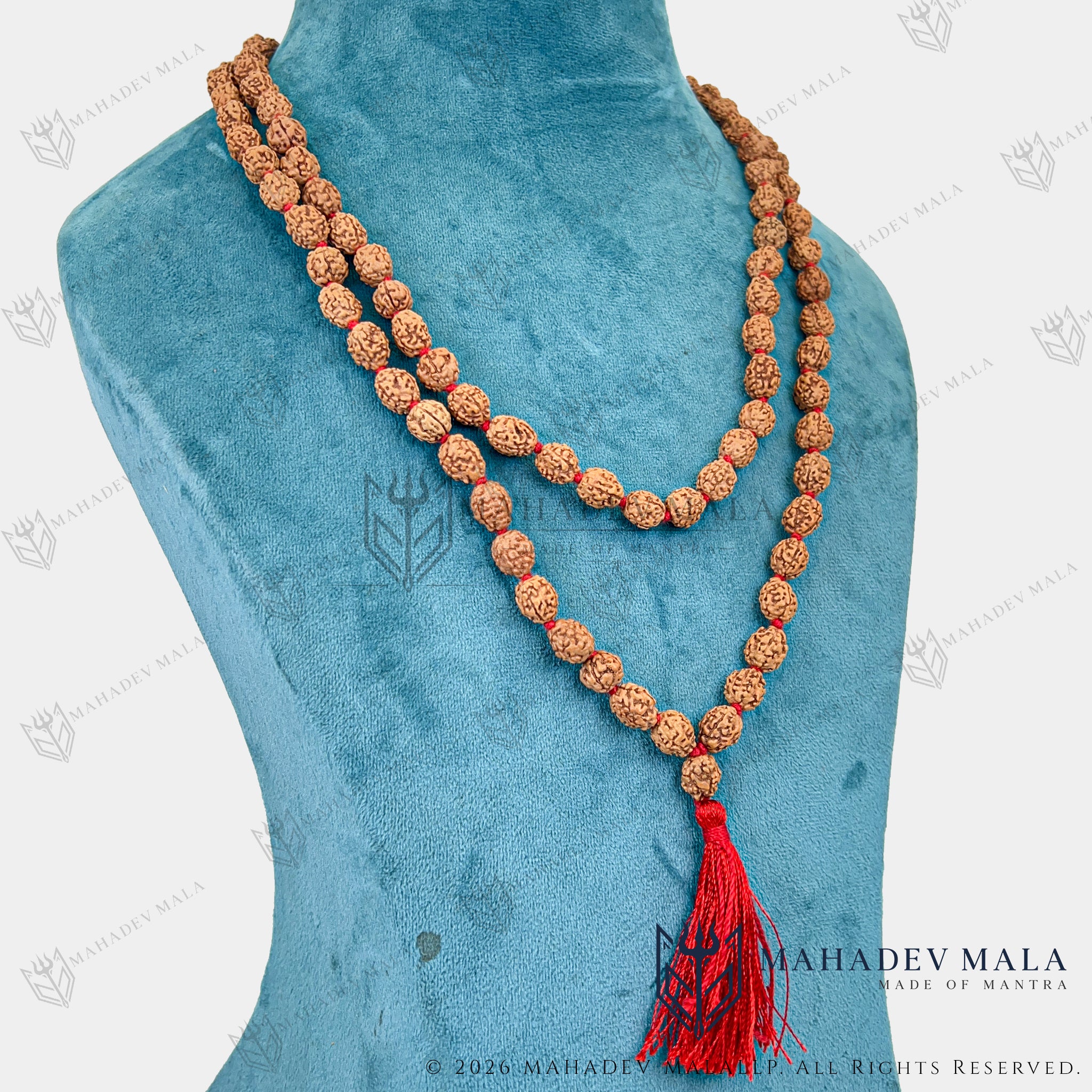 Alternate worn view of Indonesian 4 Mukhi Rudraksha Japa Mala