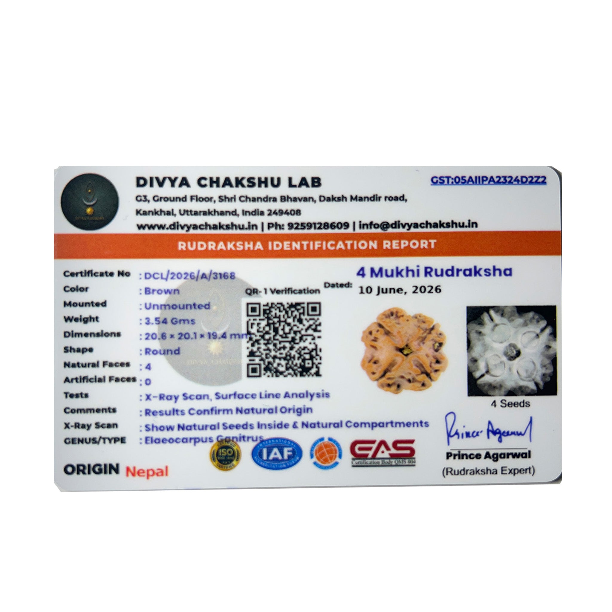 Lab certificate for natural Nepali 4 Mukhi Rudraksha bead