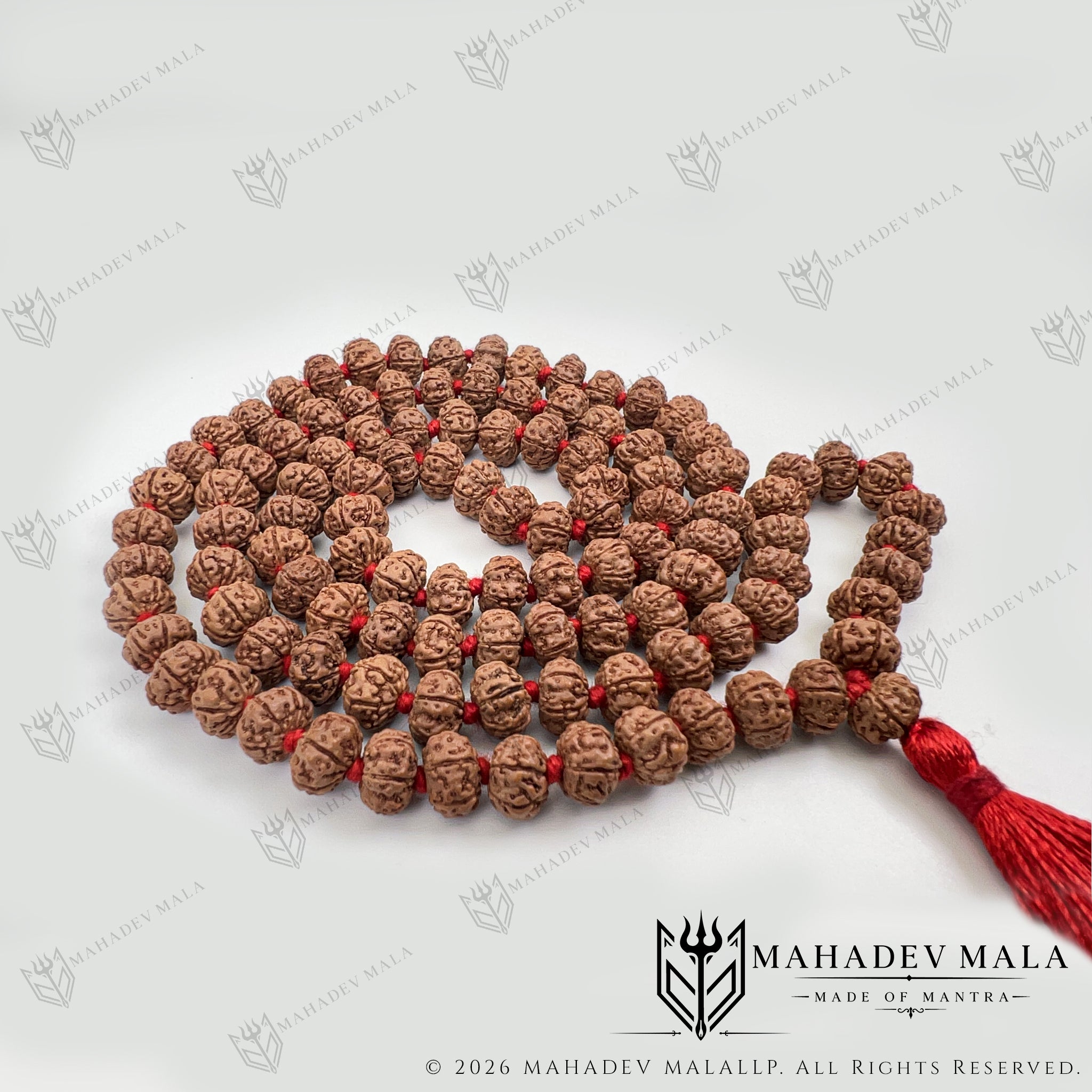 Coiled Indonesian 6 Mukhi Rudraksha Japa Mala on a white background