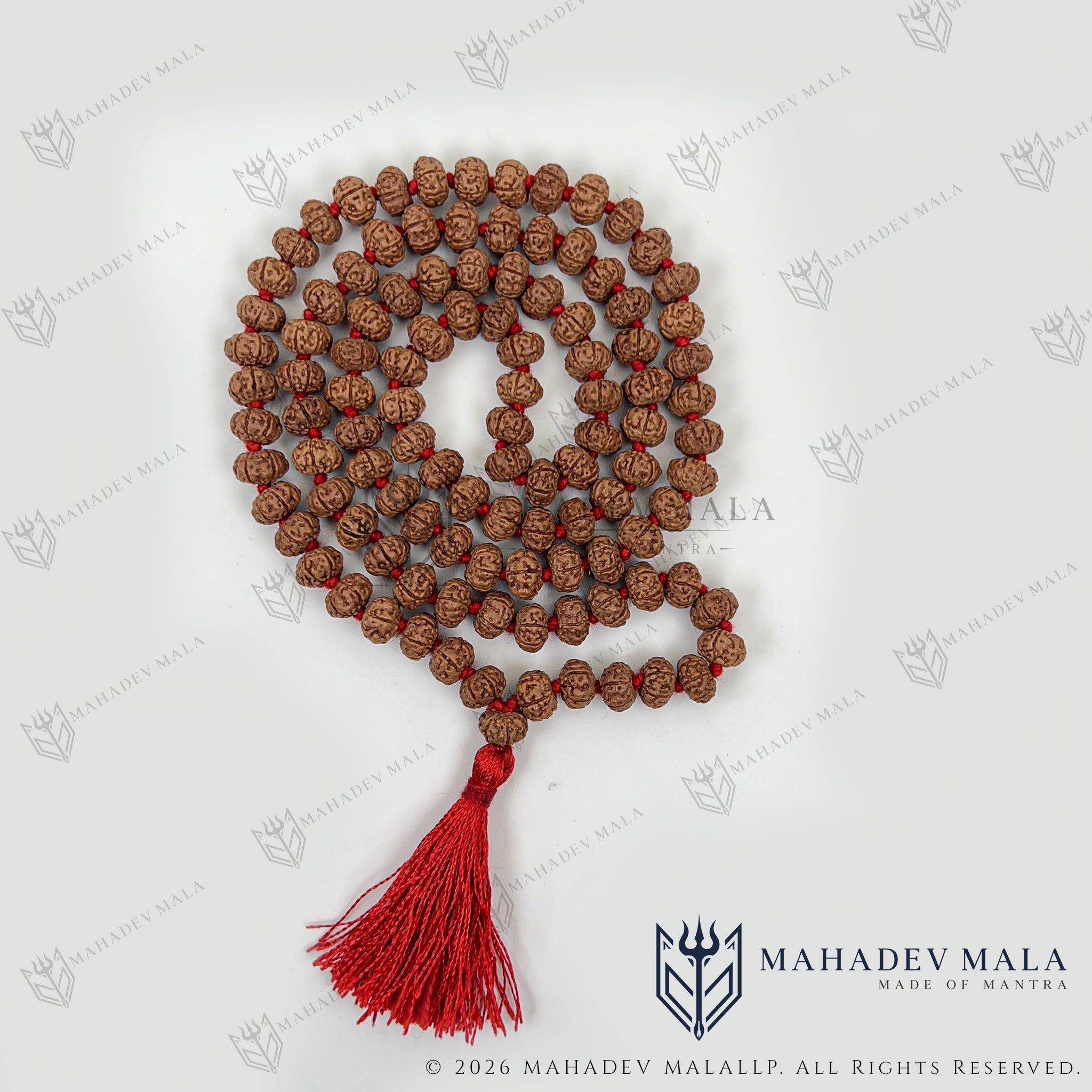 Coiled Indonesian 6 Mukhi Rudraksha Japa Mala with red tassel