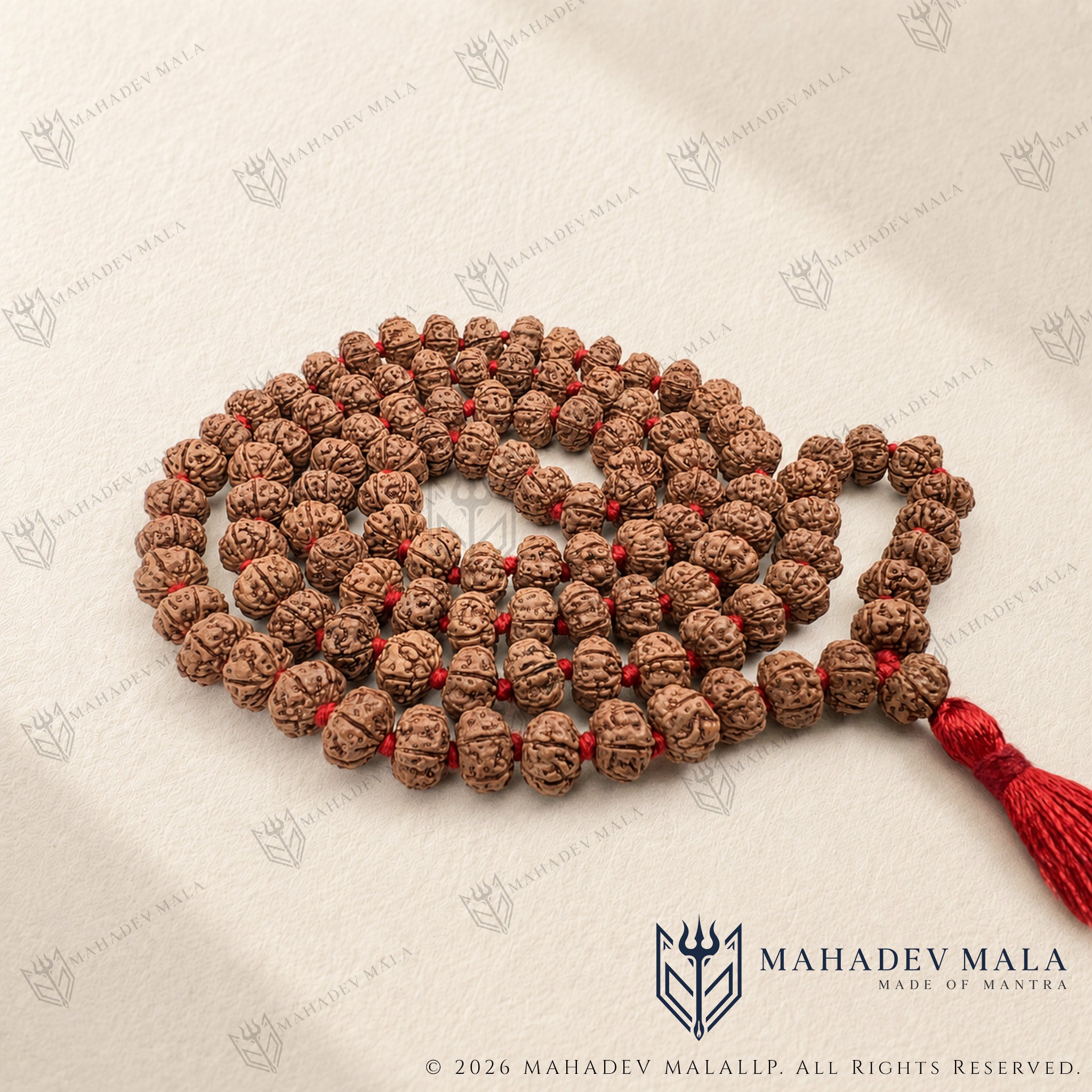 Indonesian 6 Mukhi Rudraksha Japa Mala with 108 plus 1 natural beads