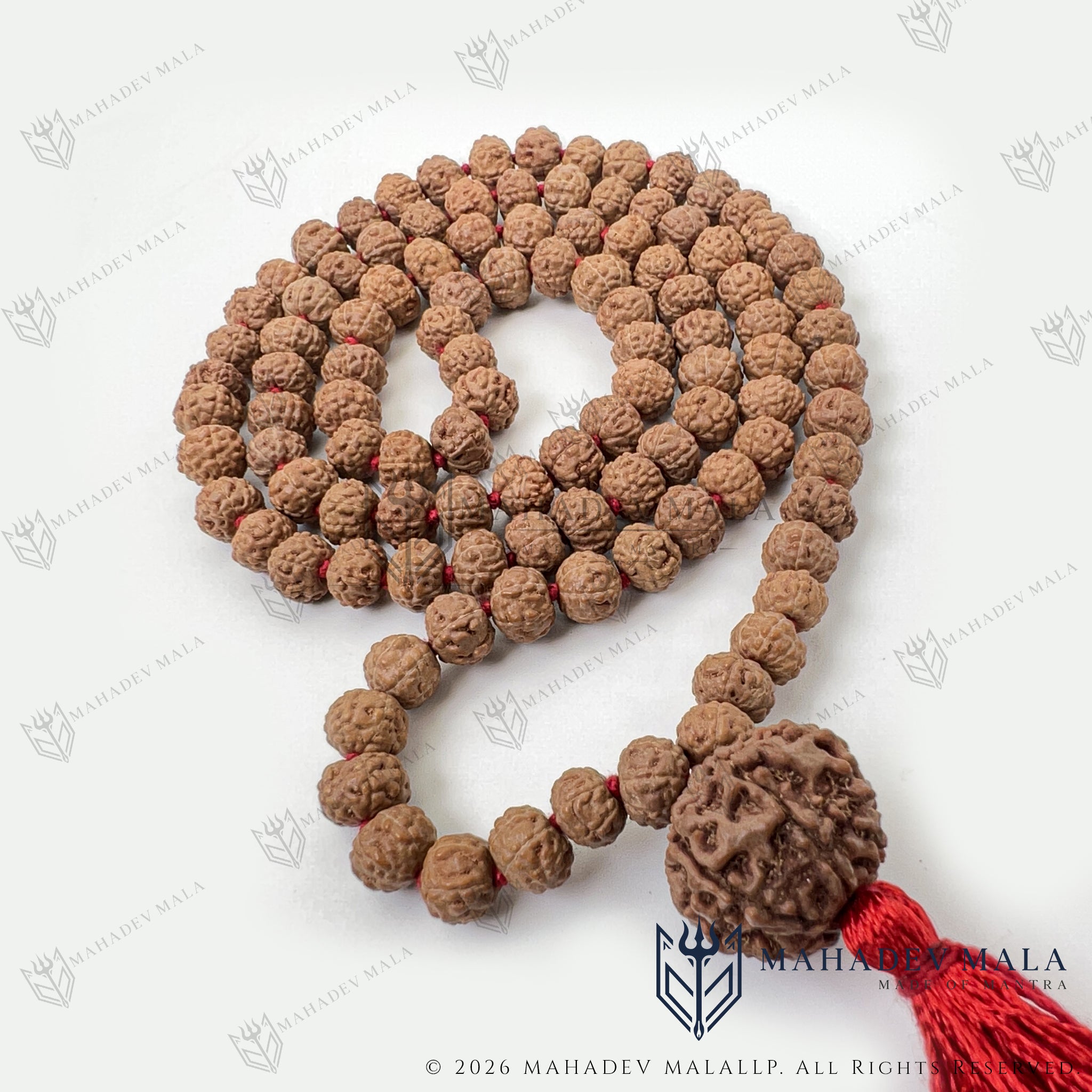 Alternate coiled view of 7 Mukhi Rudraksha Japa Mala