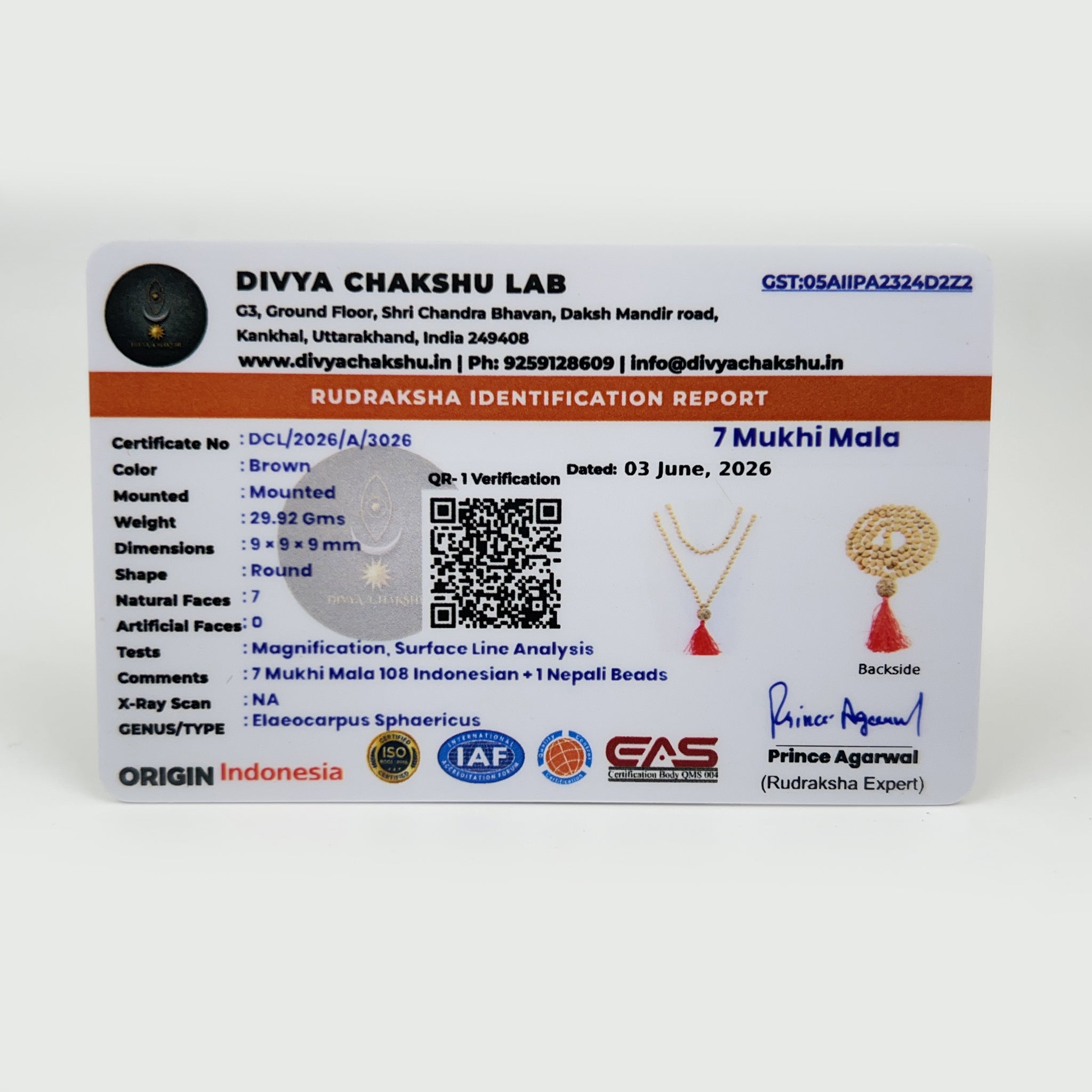 Lab certificate for 7 Mukhi Rudraksha Japa Mala with premium Nepali Guru bead