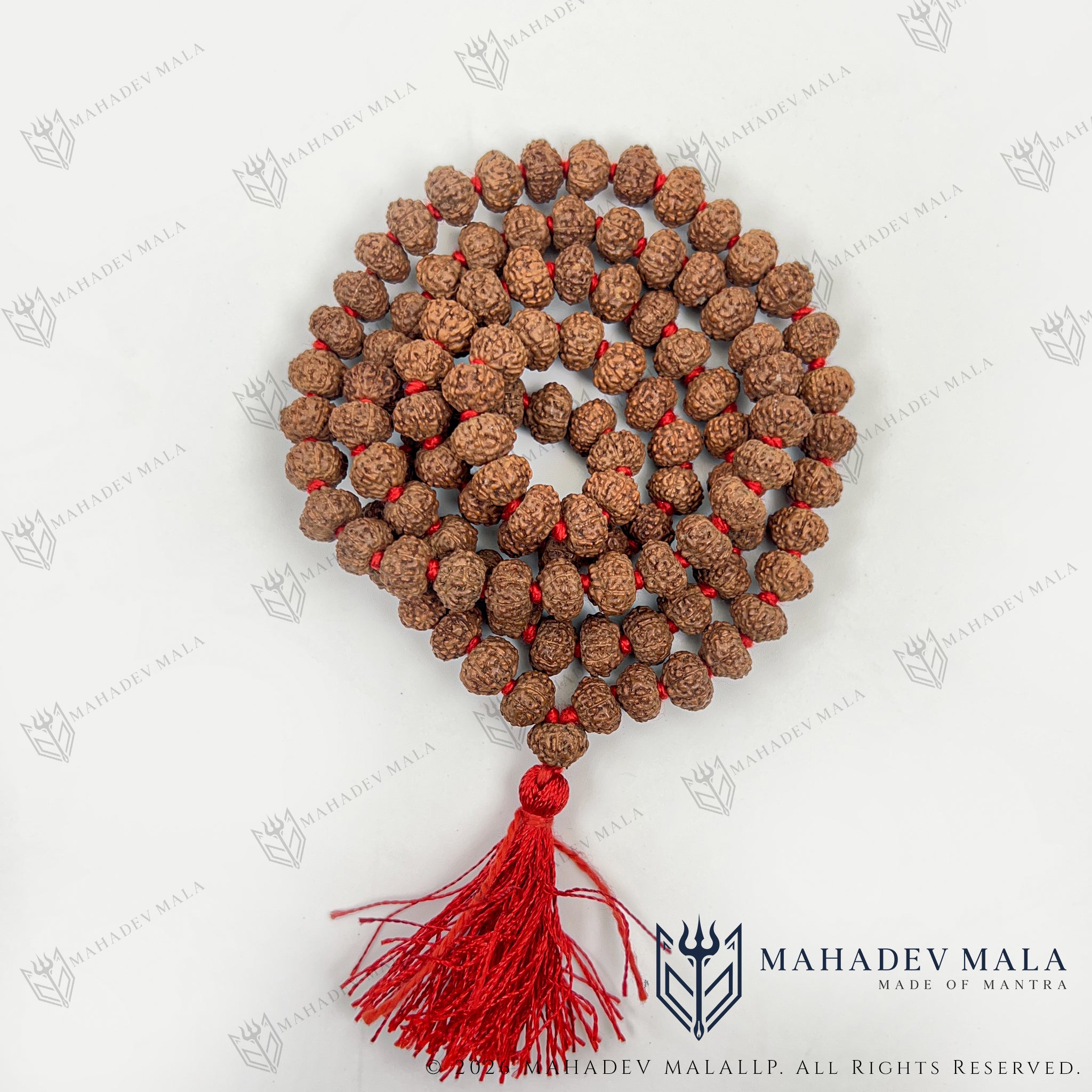 Coiled Indonesian 8 Mukhi Rudraksha Japa Mala with red tassel
