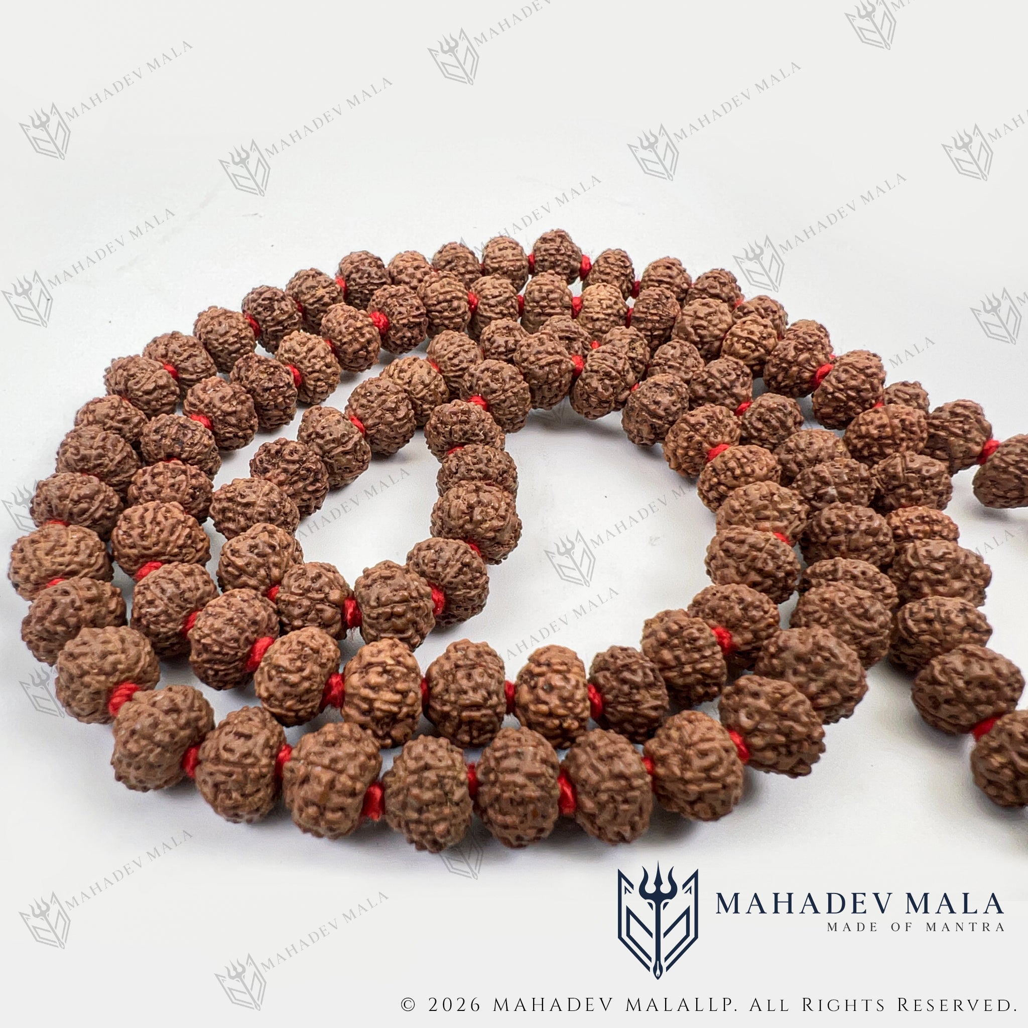 Alternate coiled view of Indonesian 8 Mukhi Rudraksha Japa Mala