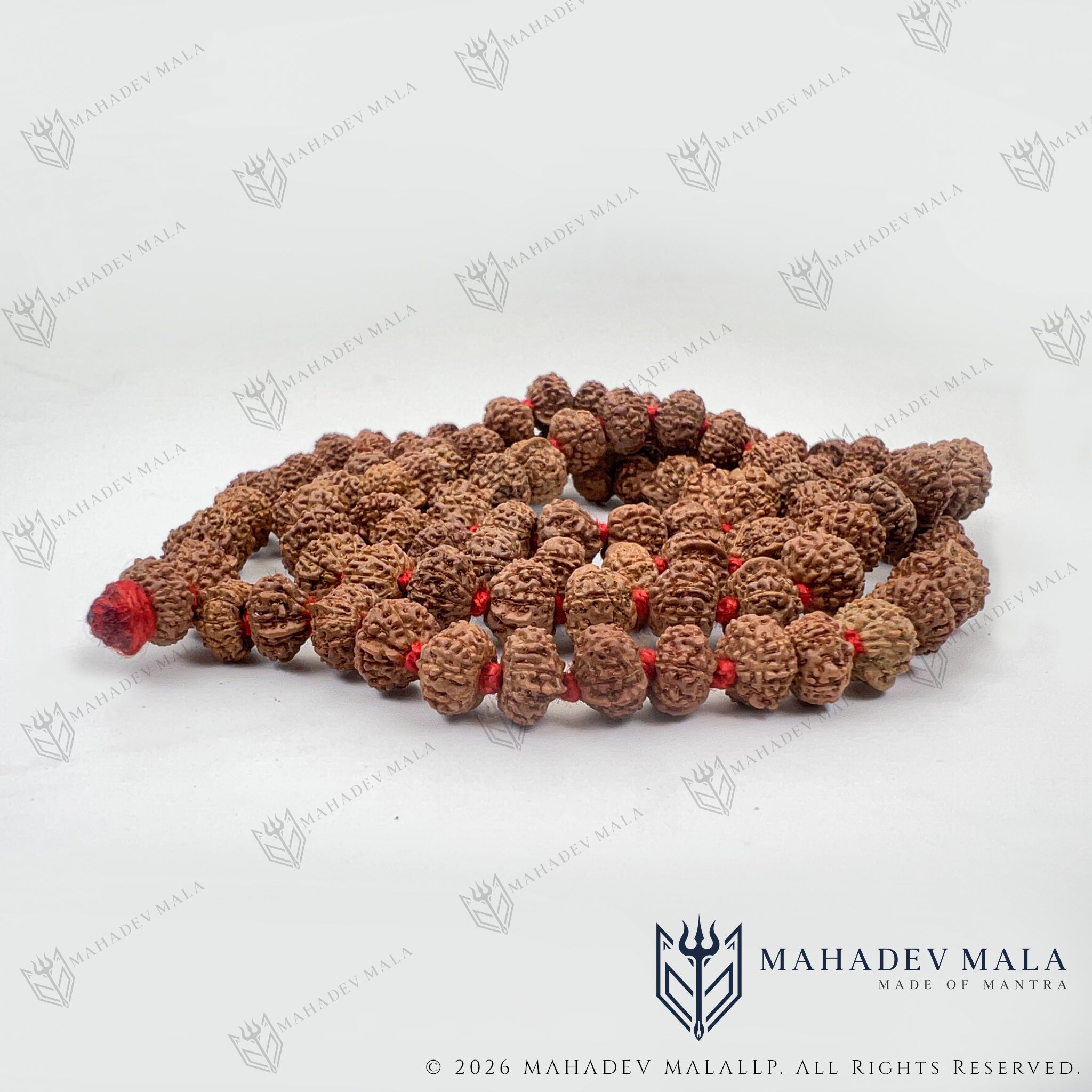 Close-up of natural trunk-like formation on 9 Mukhi Ganesh Rudraksha