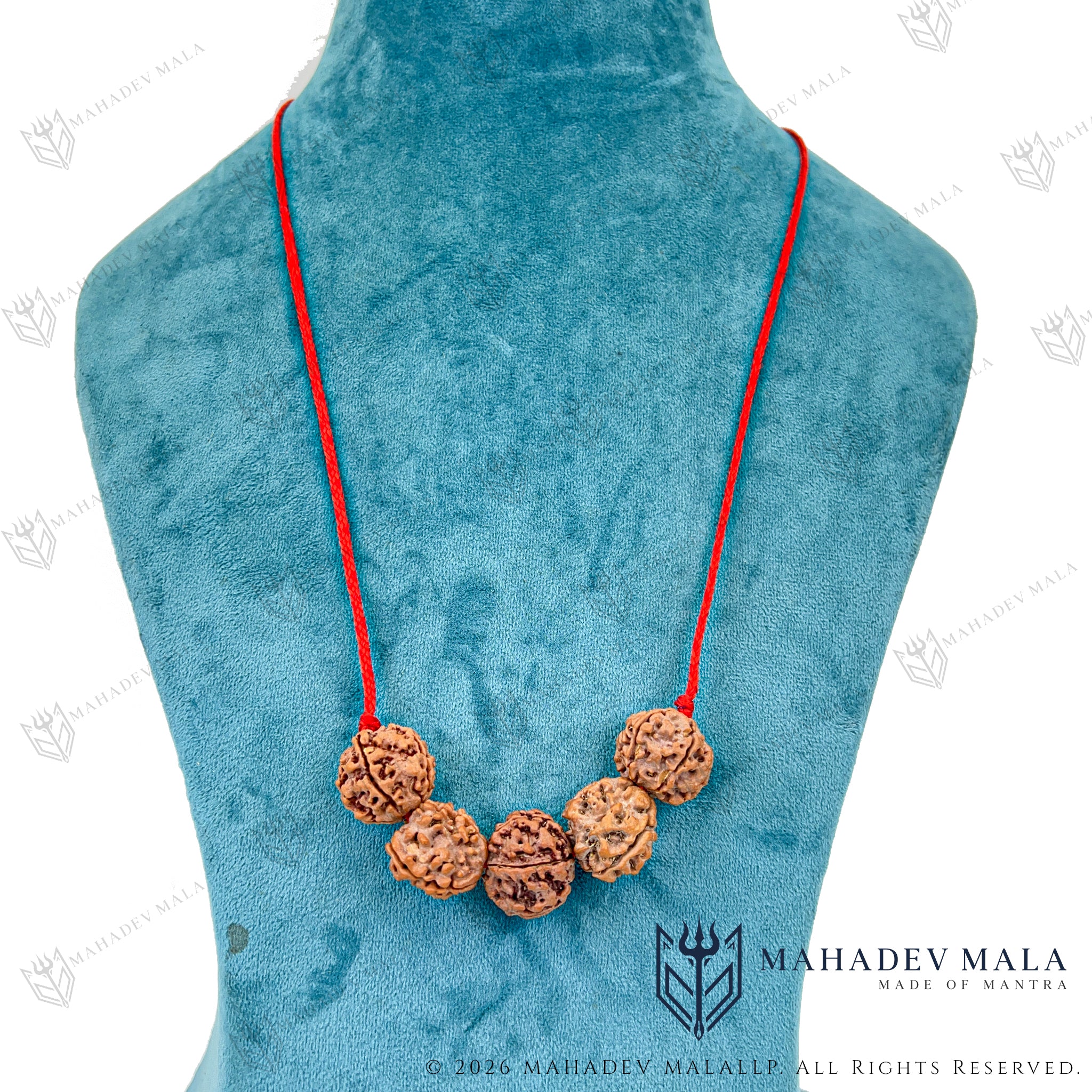 Arogya Raksha Kavach with 3 and 5 Mukhi Rudraksha worn around the neck