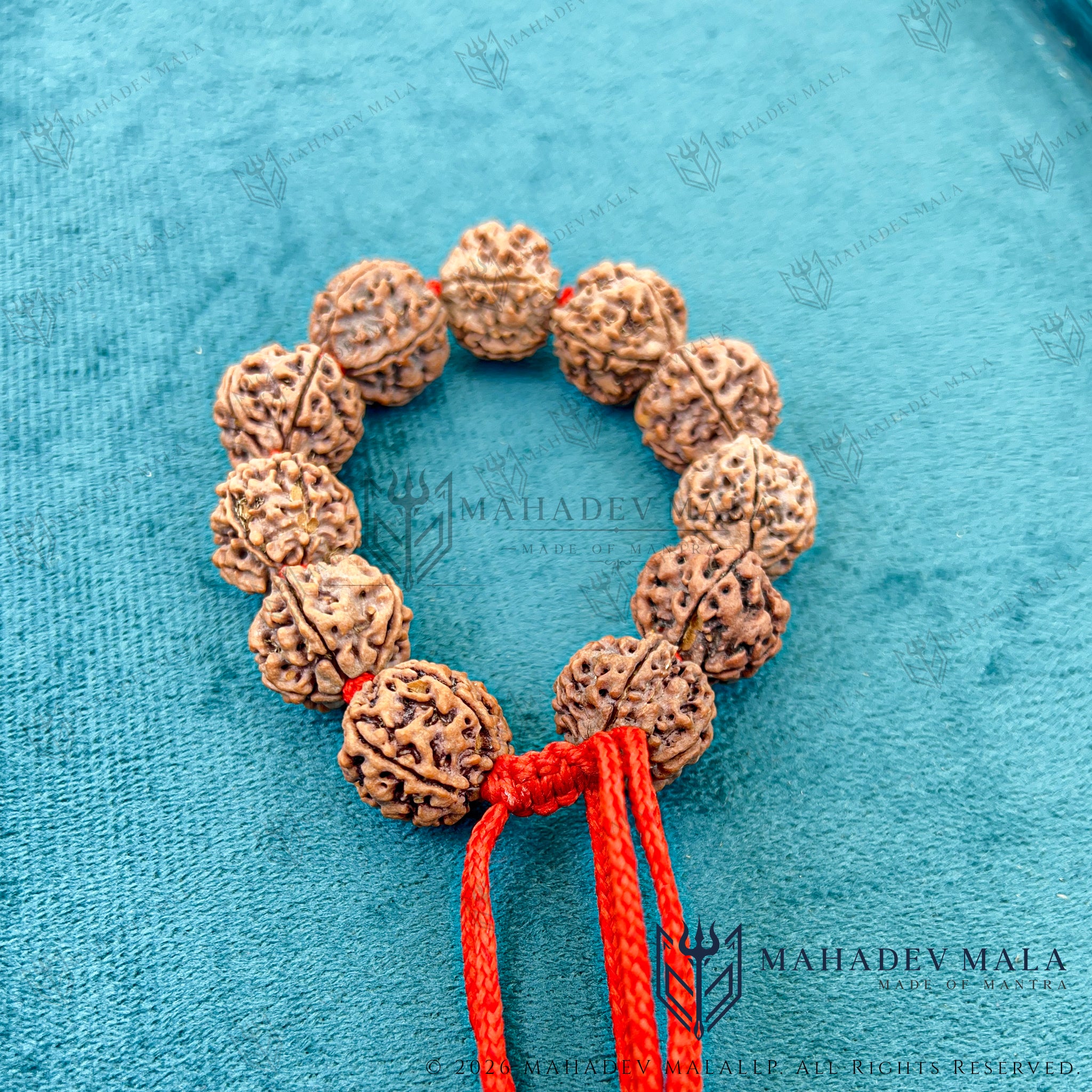 Natural 5 Mukhi Rudraksha Bracelet – Certified Nepali Rudraksha