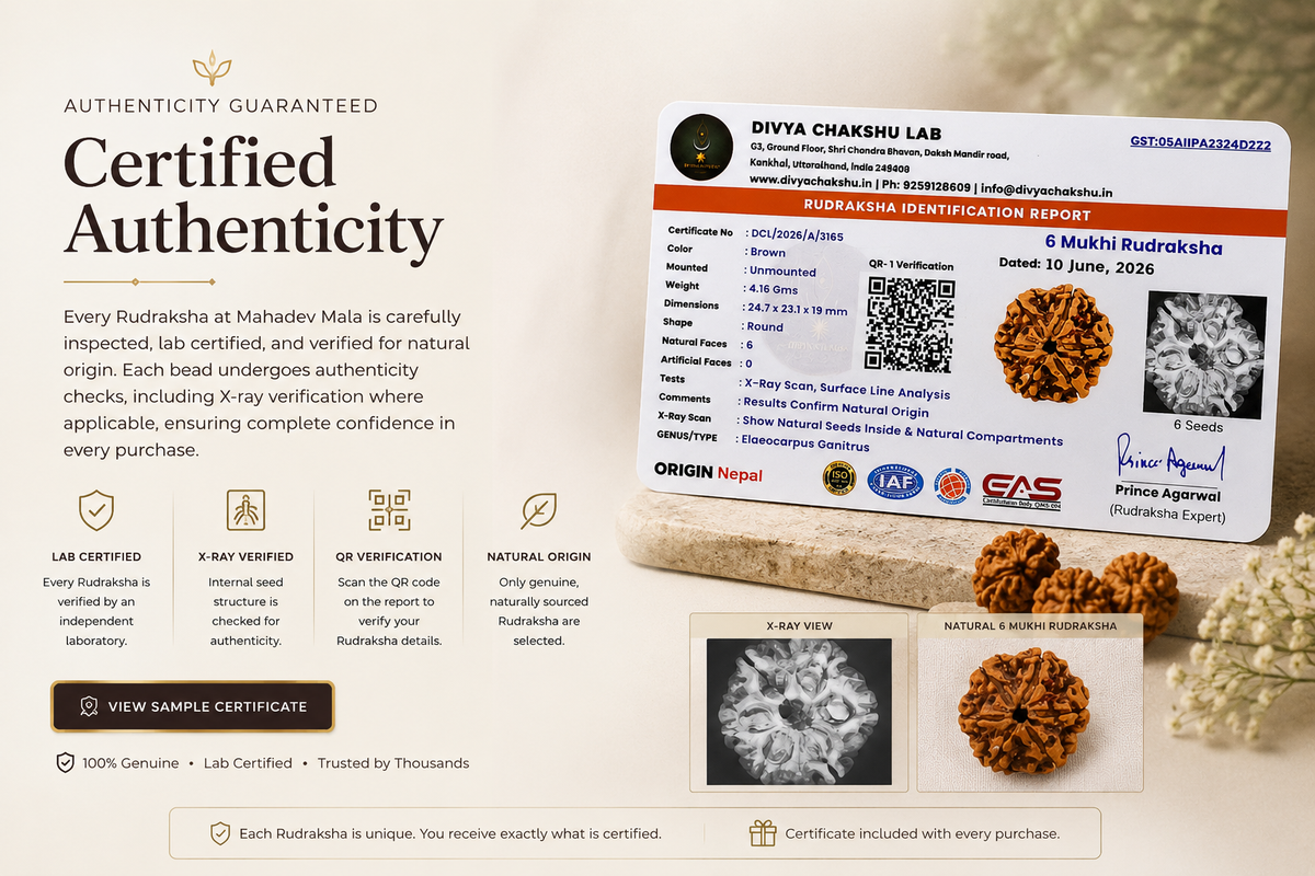 Desktop Alt text:
Certified natural Rudraksha with independent laboratory report and X-ray verification by Mahadev Mala