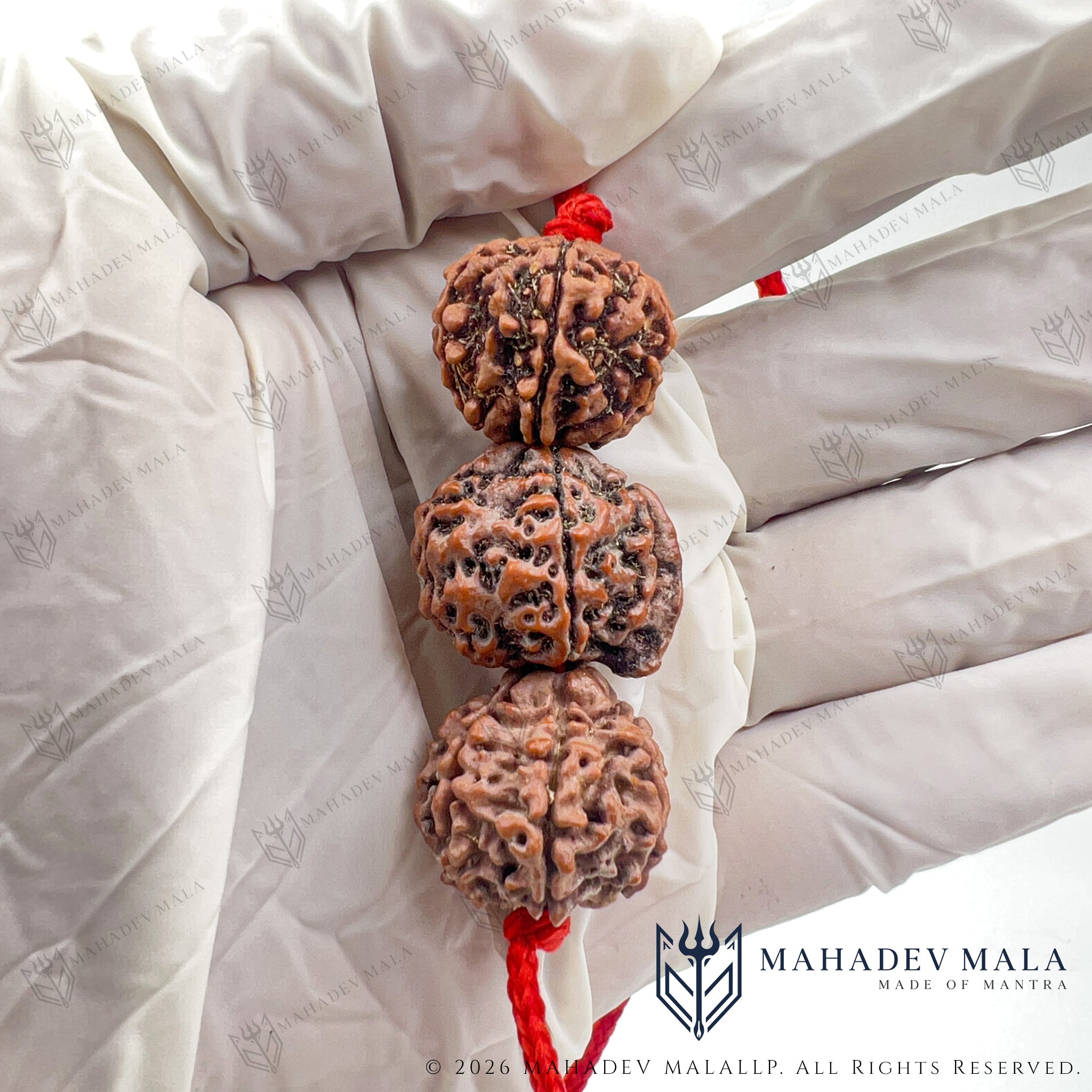 Dhan Laxmi Ganesh Kavach held in hand showing its Rudraksha formation