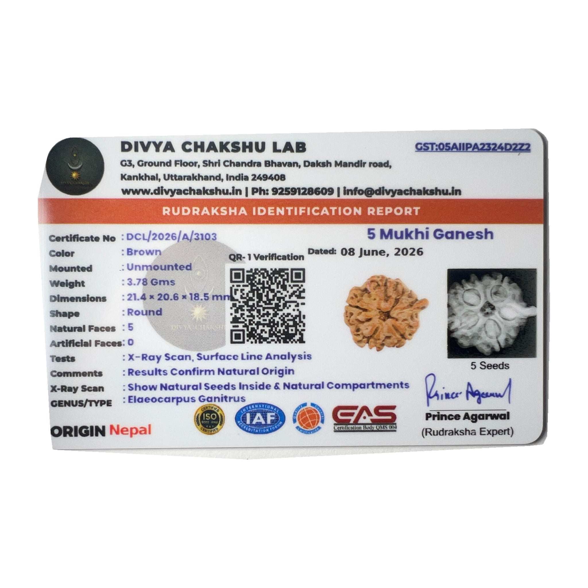 Lab certificate verifying the natural Nepali Ganesh Rudraksha bead