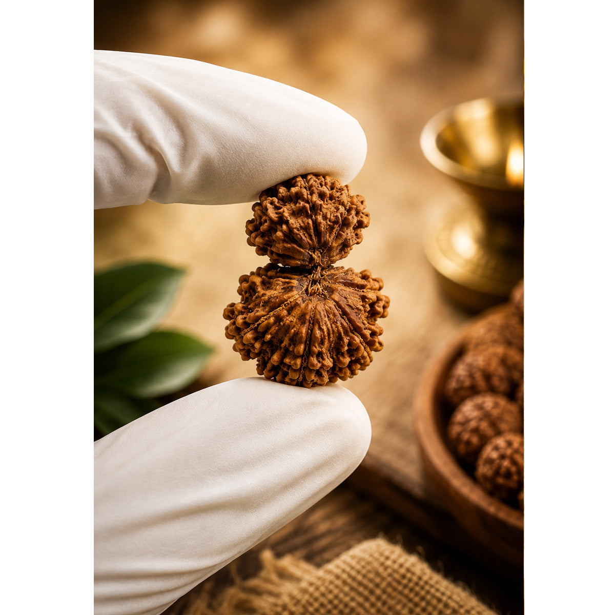 Hand-selected natural Rudraksha beads carefully inspected for quality by Mahadev Mala