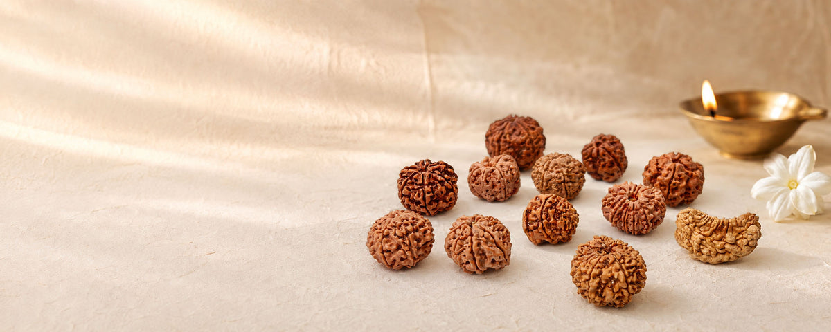 Discover why to choose Mahadev Mala for authentic Rudraksha