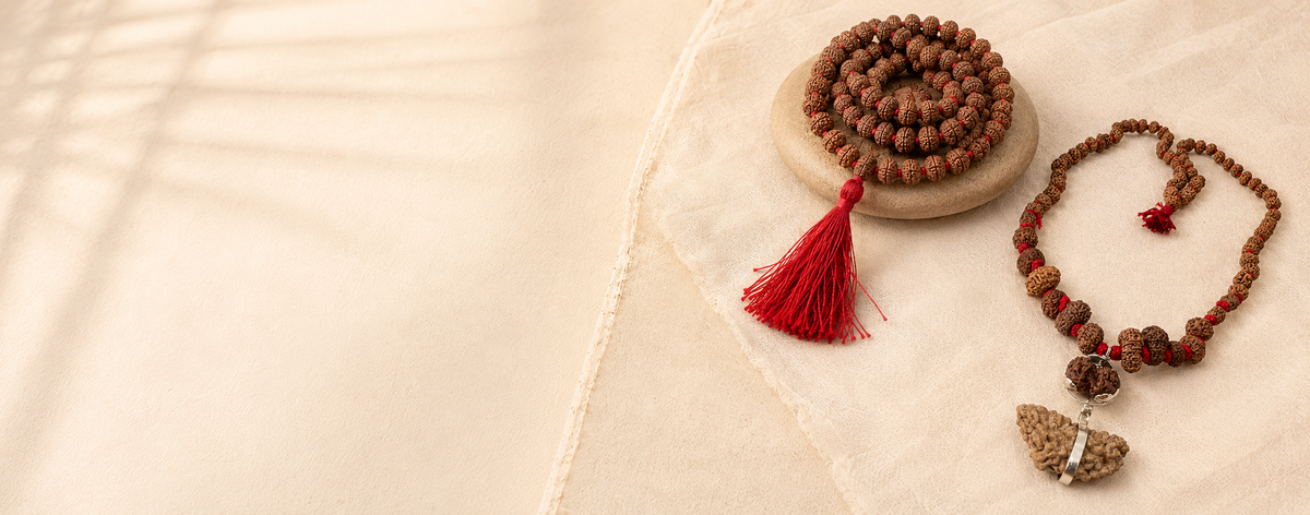 Rudraksha malas displayed for the Mahadev Mala natural Rudraksha mala collection