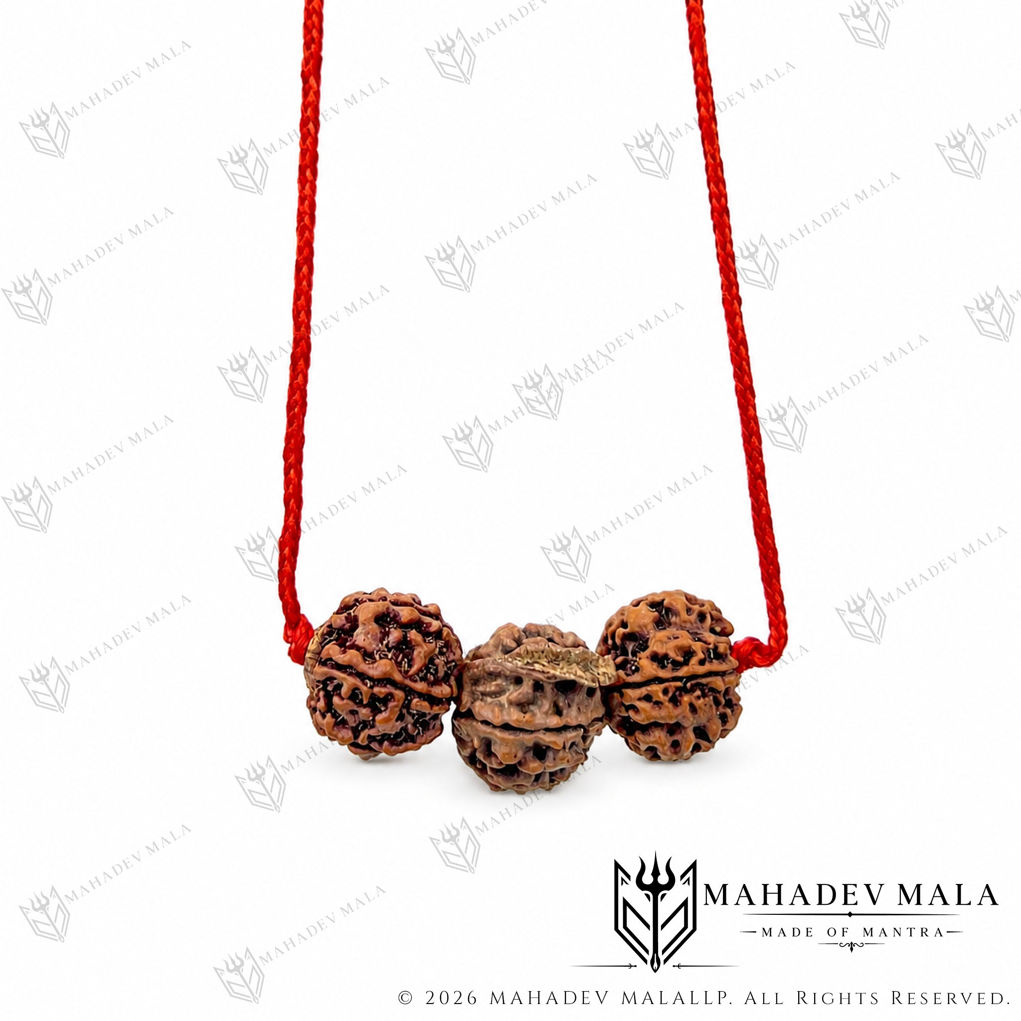 Full view of Saraswati Gyaan Kavach handcrafted on sacred red thread