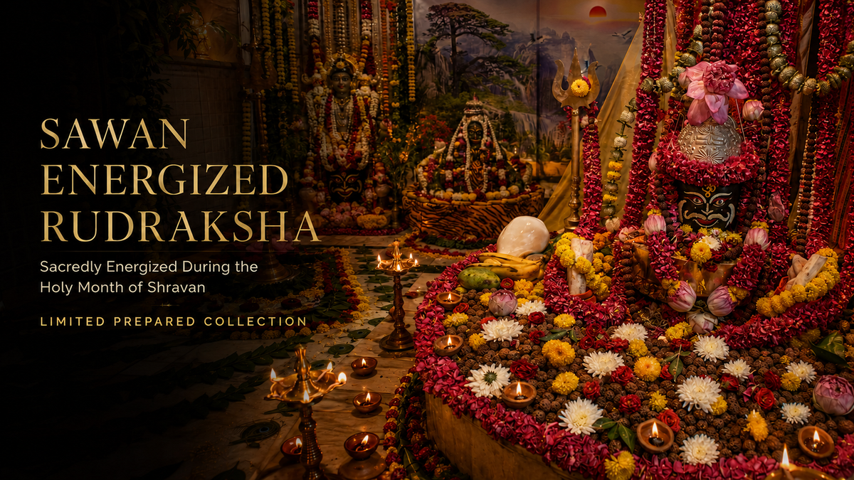 Sawan energized Rudraksha collection prepared during the holy month of Shravan by Mahadev Mala