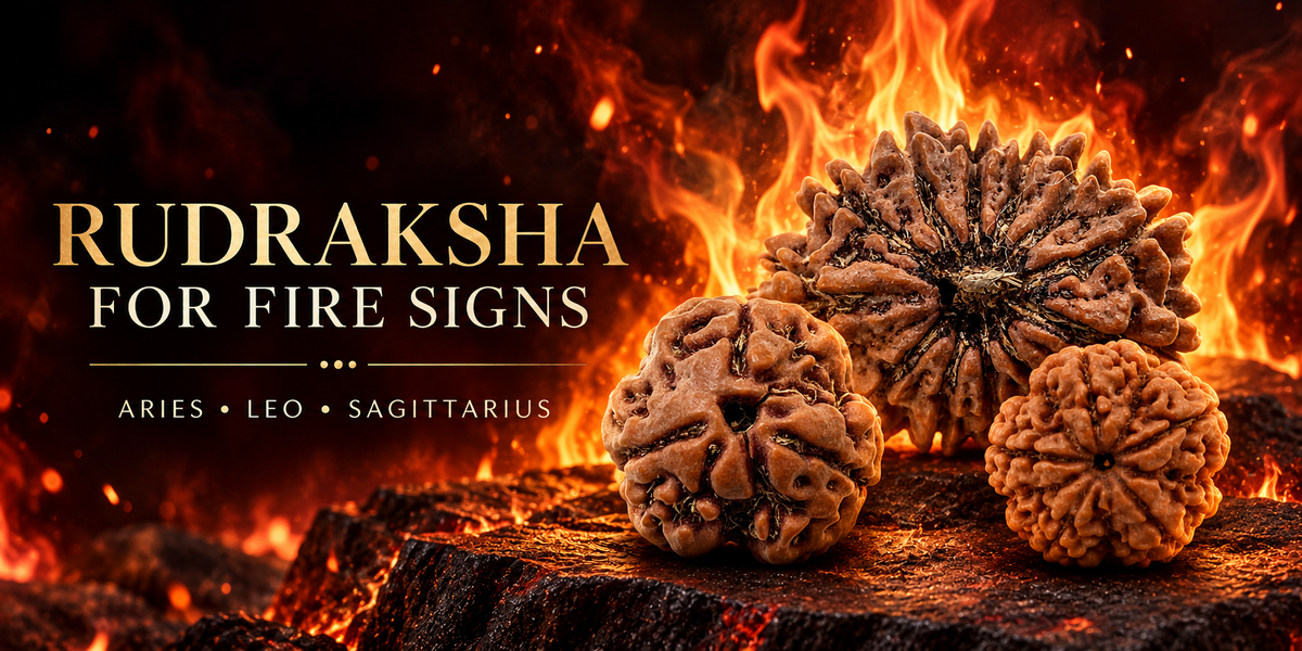 3 Mukhi, 12 Mukhi and 5 Mukhi Rudraksha for Aries, Leo and Sagittarius Fire signs