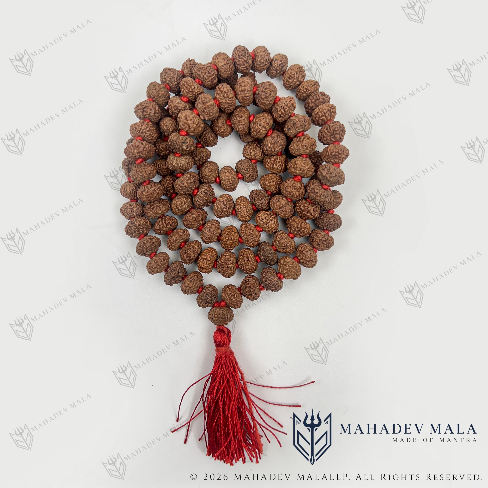 Alternate coiled view of Indonesian 10 Mukhi Rudraksha Japa Mala