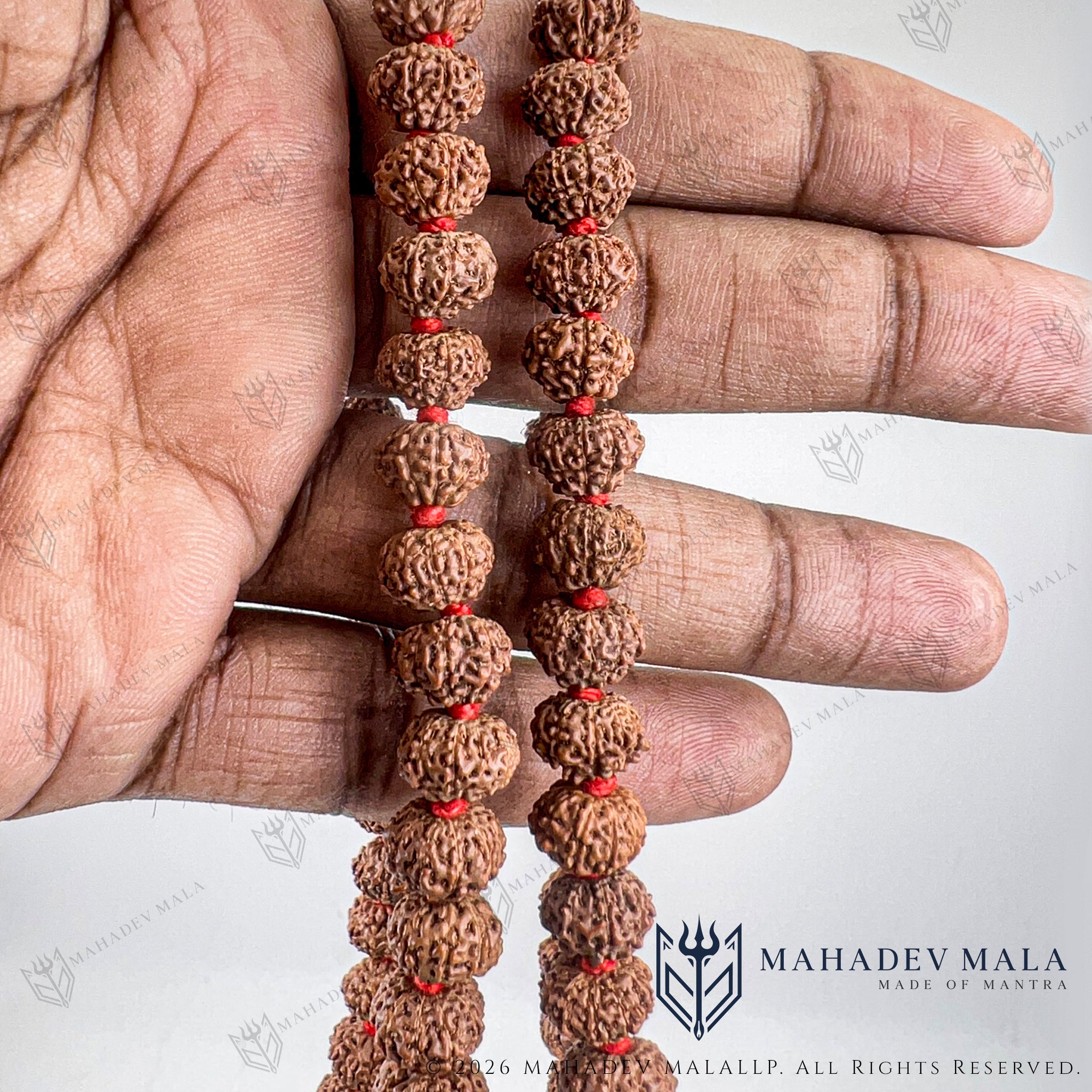 Indonesian 10 Mukhi Rudraksha Japa Mala held to show its bead length