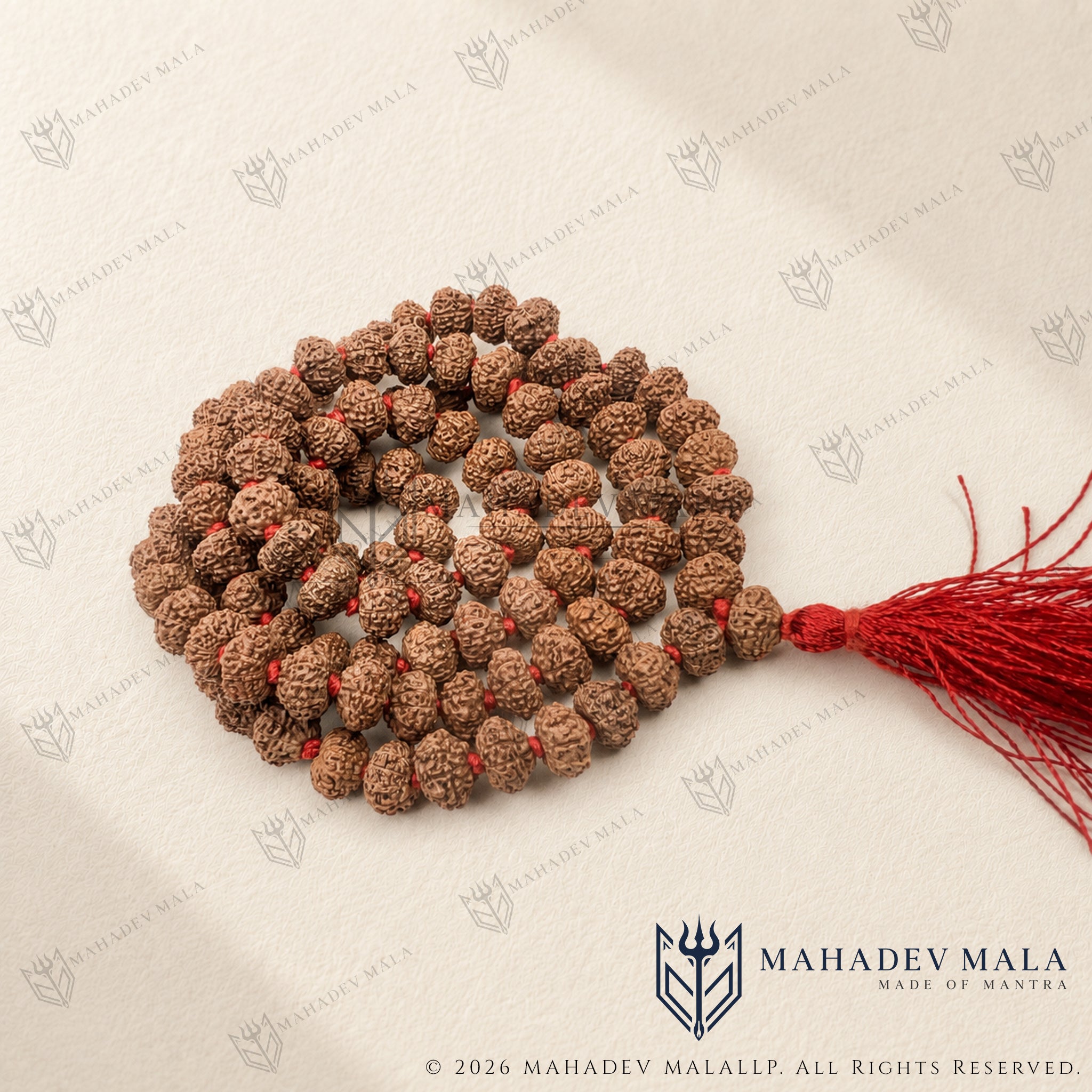 Indonesian 10 Mukhi Rudraksha Japa Mala with 108 plus 1 natural beads