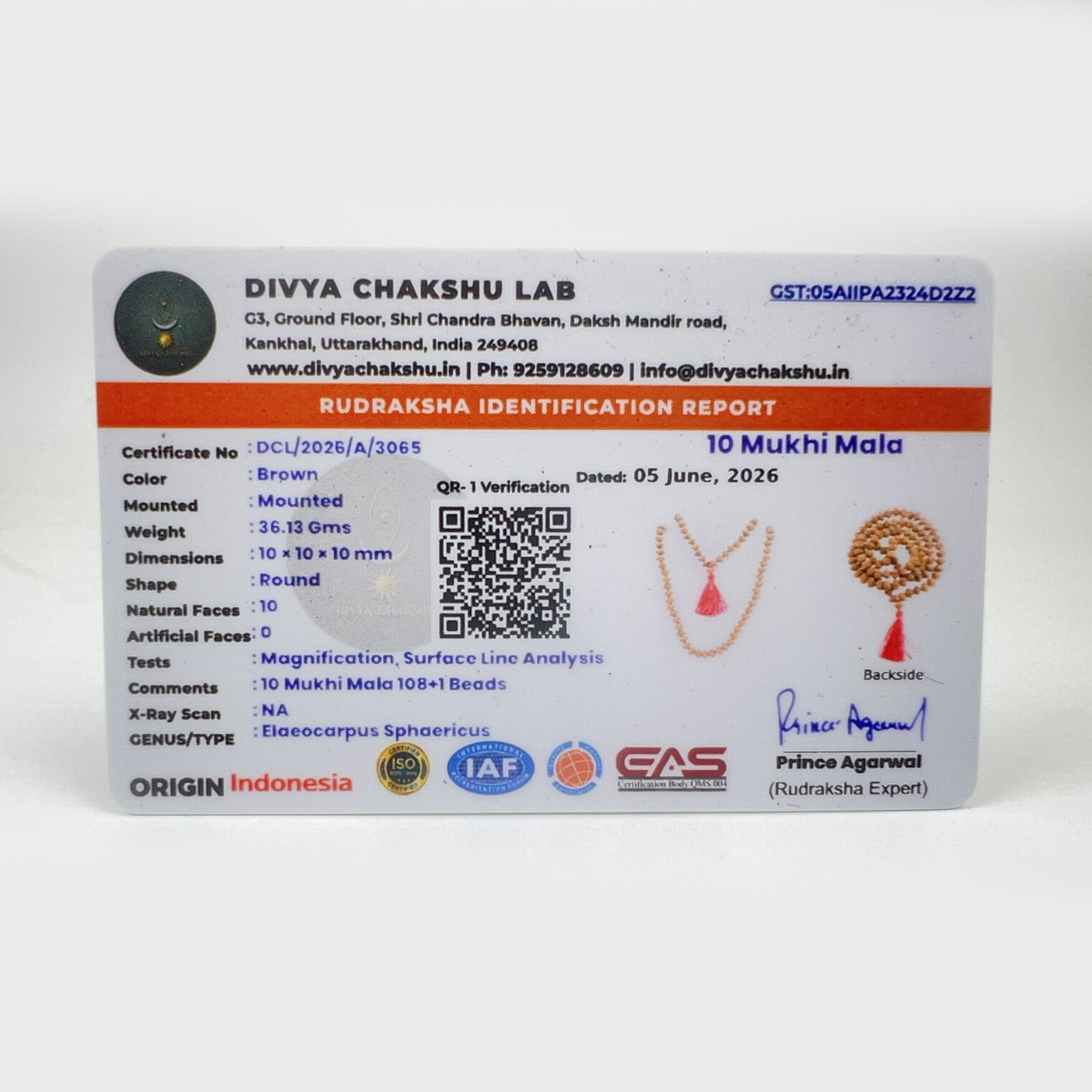 Lab certificate for Indonesian 10 Mukhi Rudraksha Japa Mala