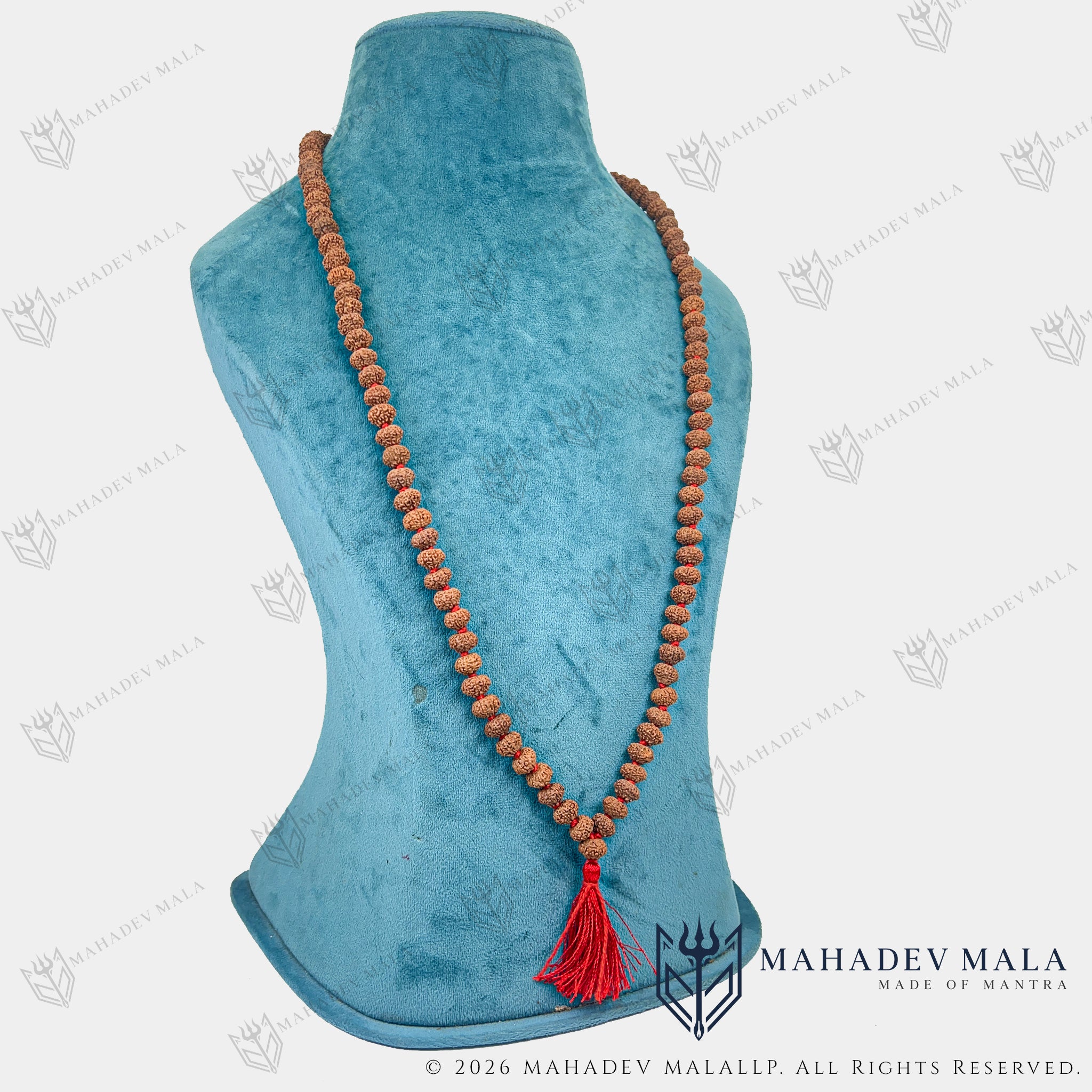 Indonesian 10 Mukhi Rudraksha Japa Mala displayed as a long necklace
