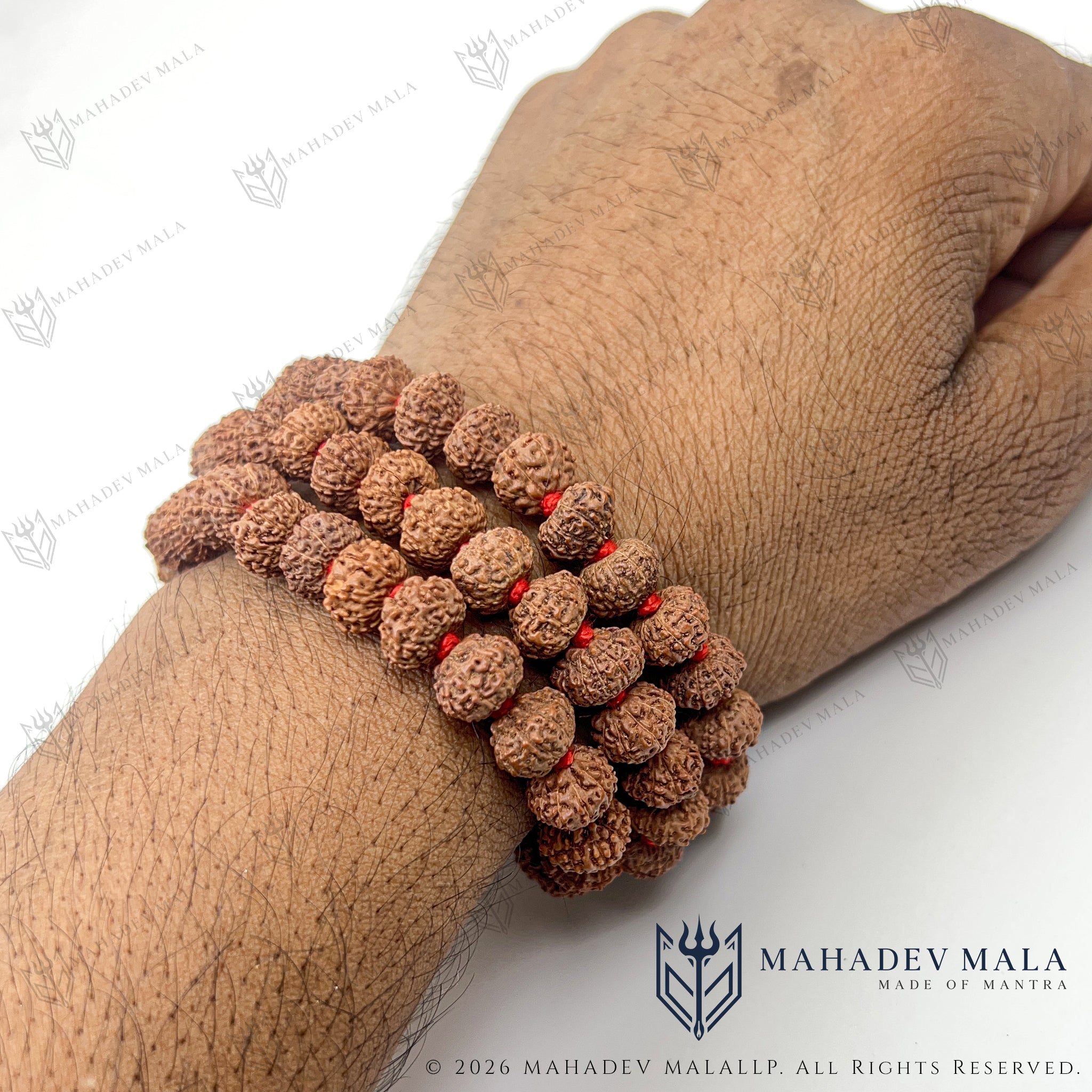 Indonesian 10 Mukhi Rudraksha Japa Mala wrapped around the wrist