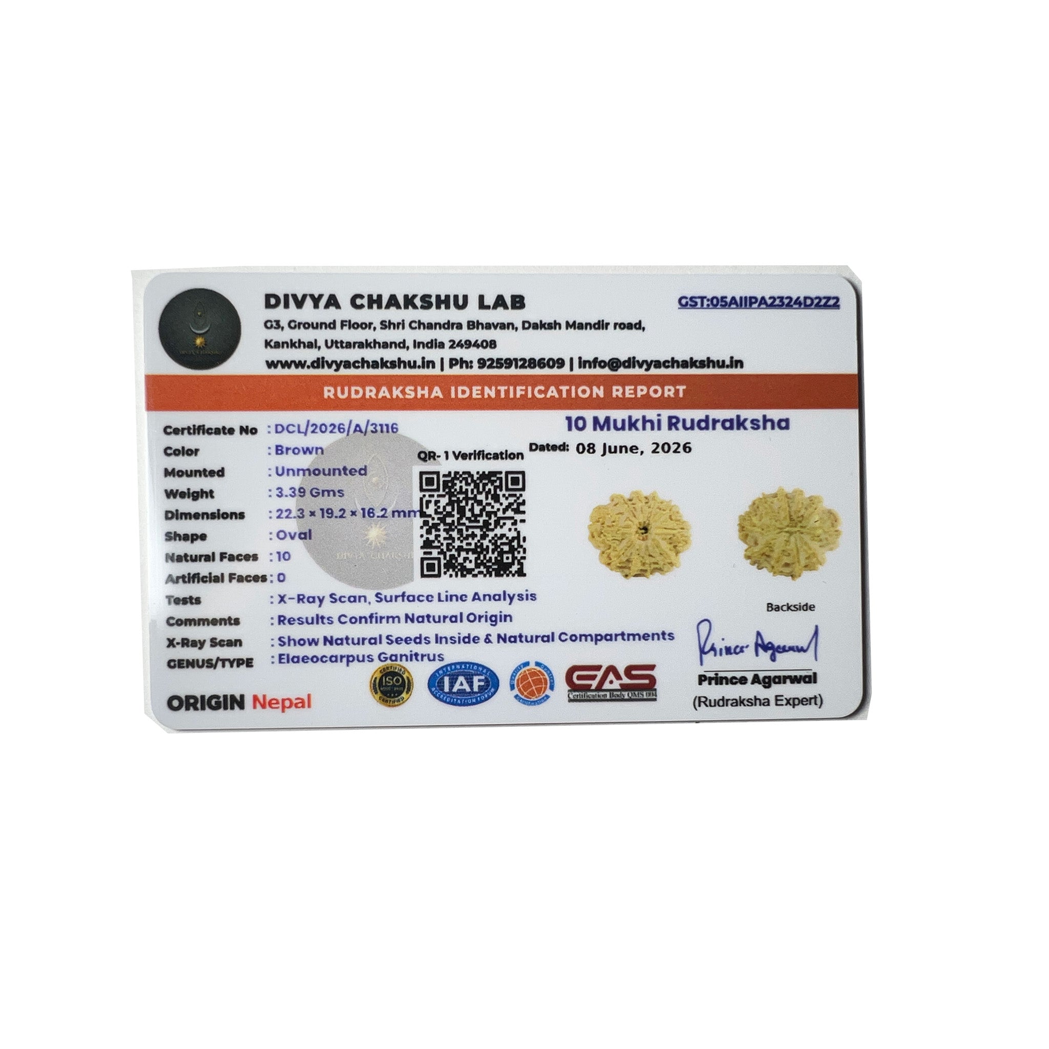 Lab certificate for natural Nepali 10 Mukhi Rudraksha bead
