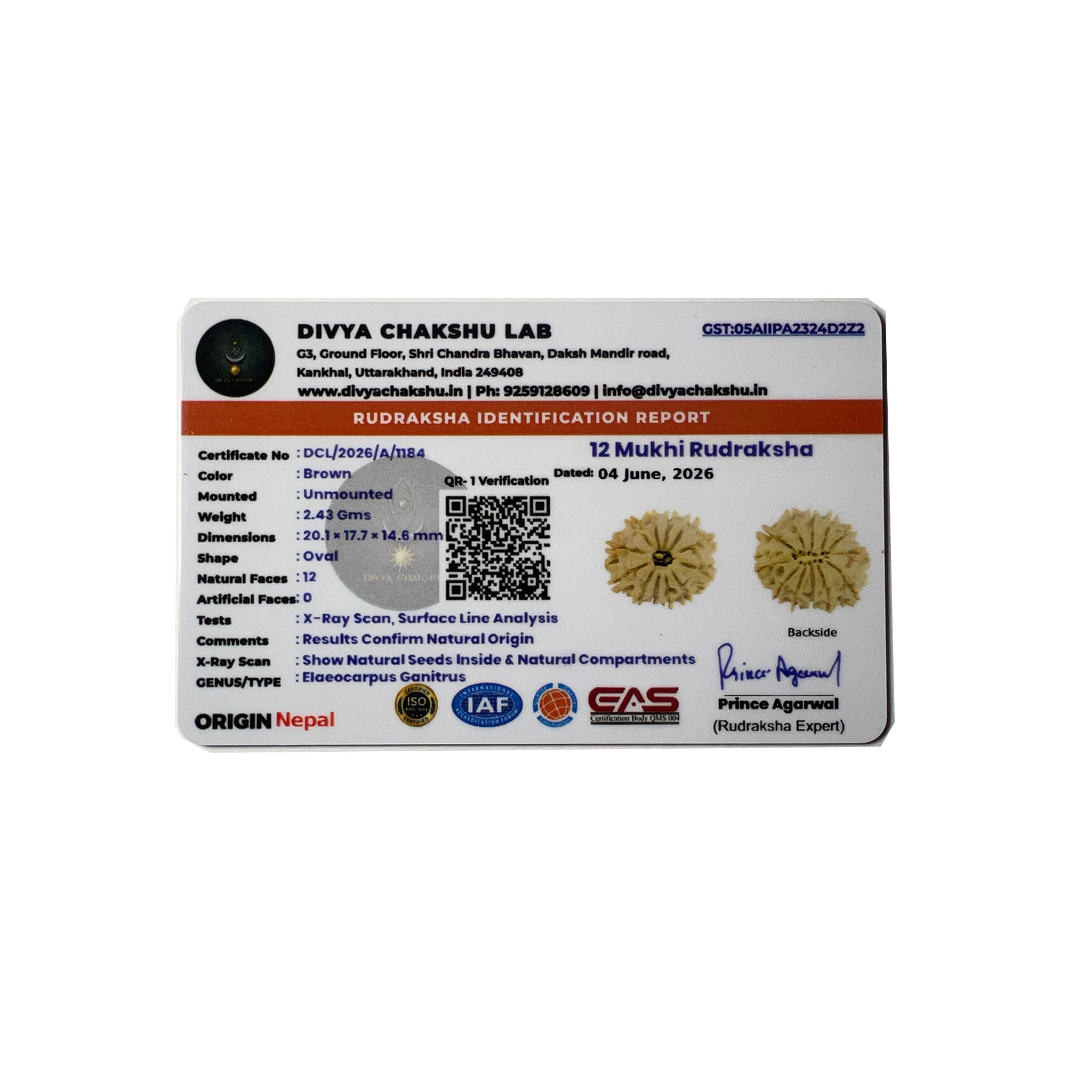 Lab certificate for natural Nepali 12 Mukhi Rudraksha bead