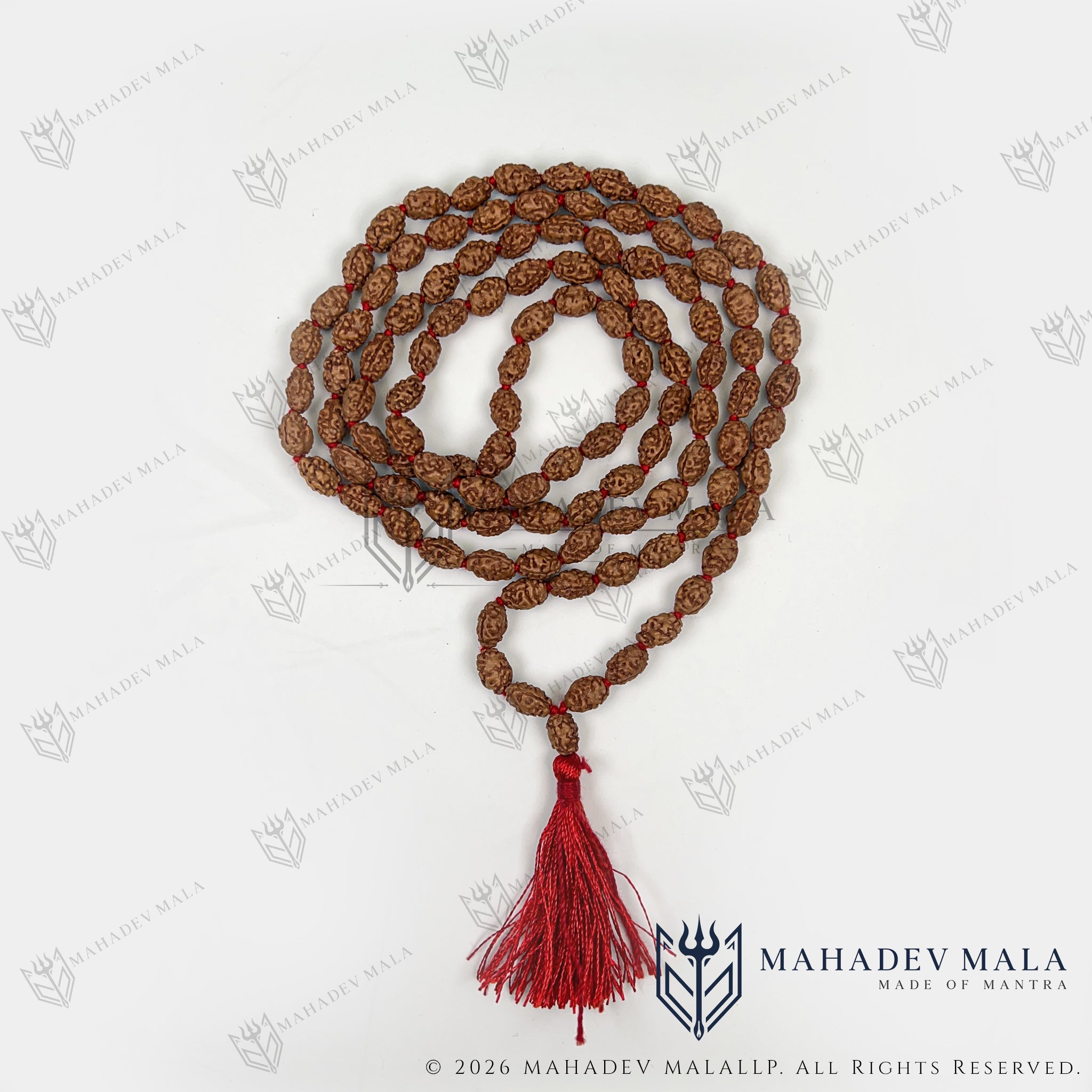 Coiled Indonesian 2 Mukhi Rudraksha Japa Mala with red tassel