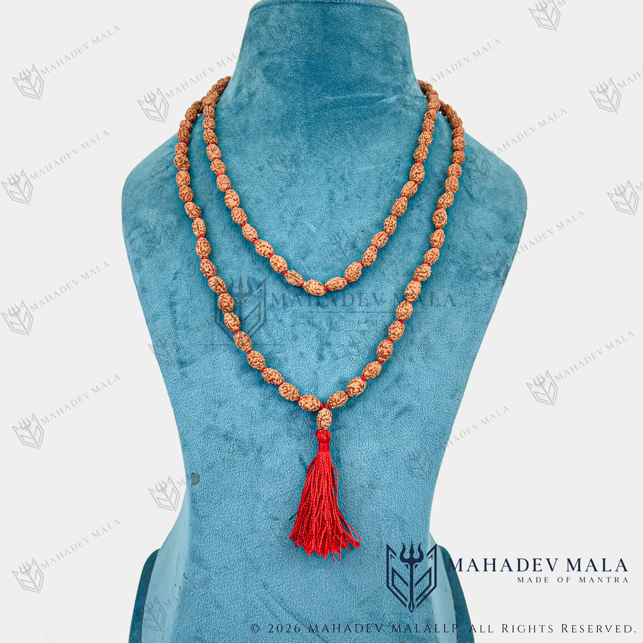 Indonesian 2 Mukhi Rudraksha Japa Mala worn as a long necklace