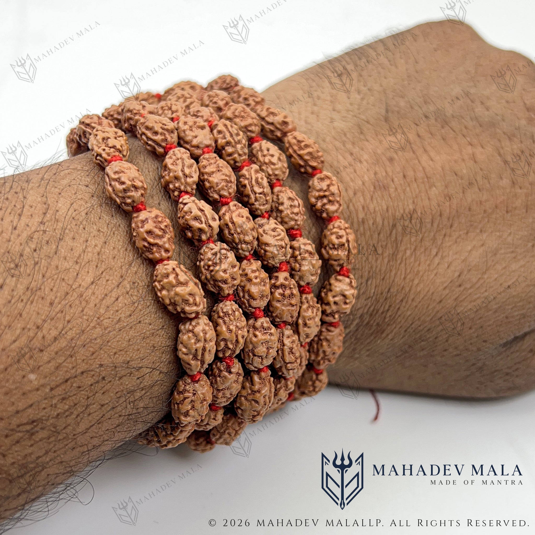Lightweight Indonesian 2 Mukhi Rudraksha Japa Mala wrapped around the wrist