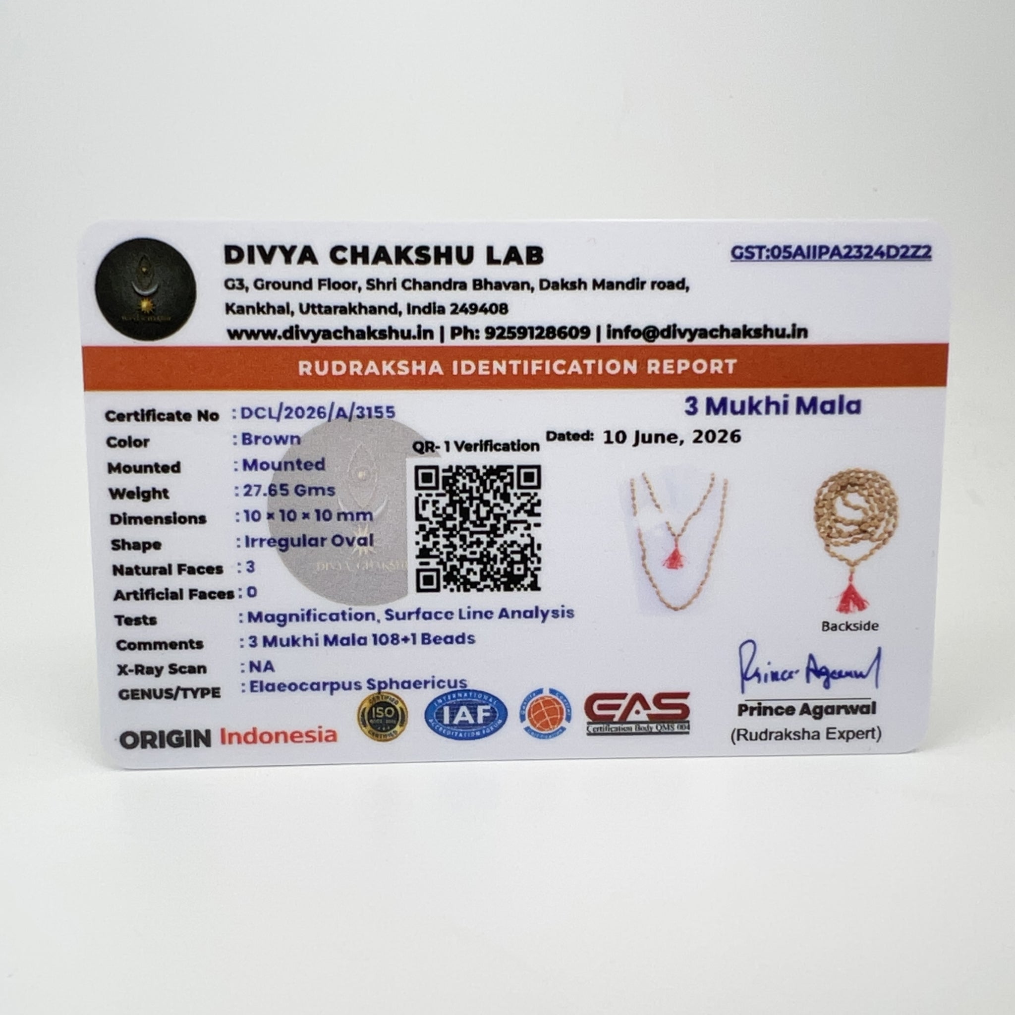 Lab certificate for Indonesian 3 Mukhi Rudraksha Japa Mala