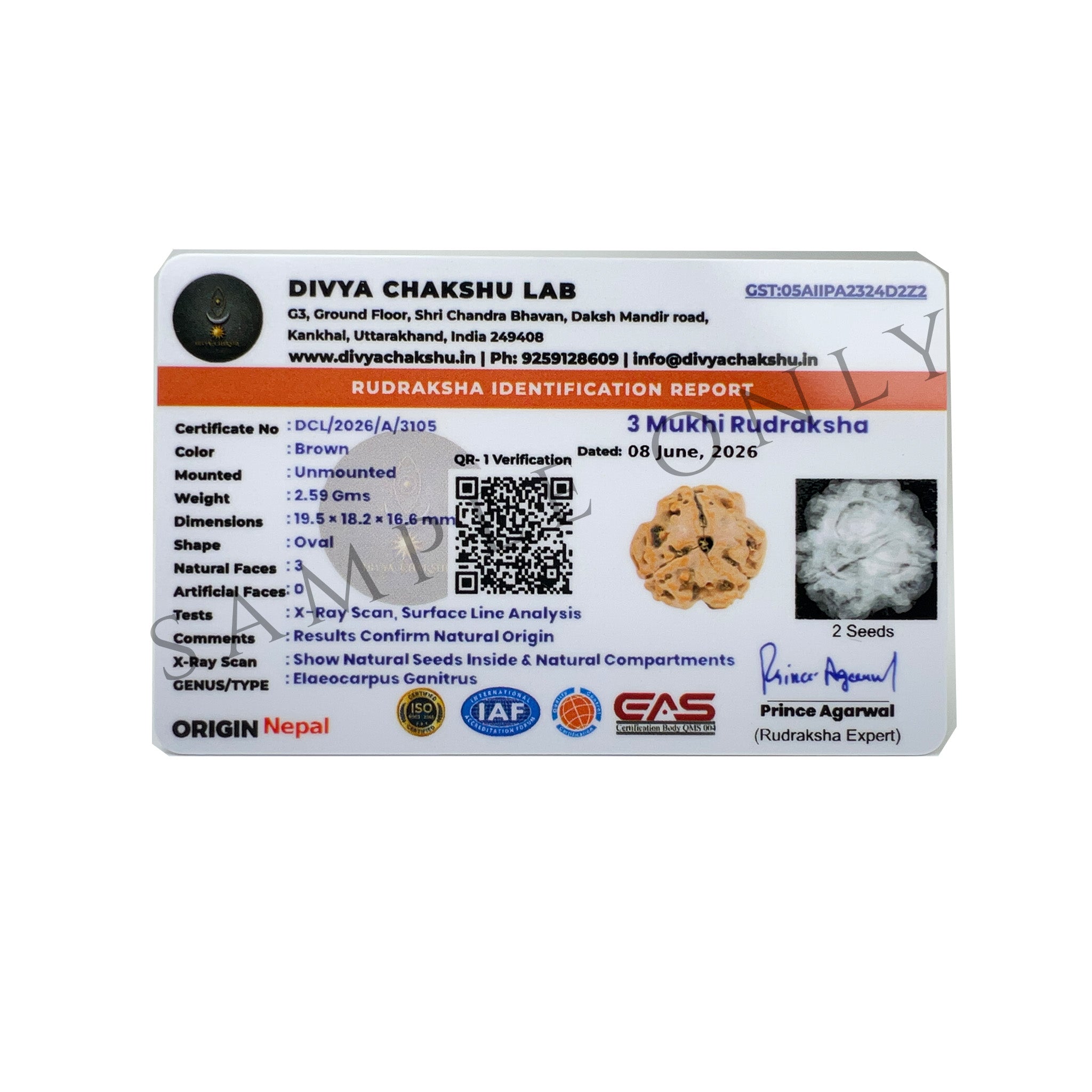 Lab certificate for natural Nepali 3 Mukhi Rudraksha bead
