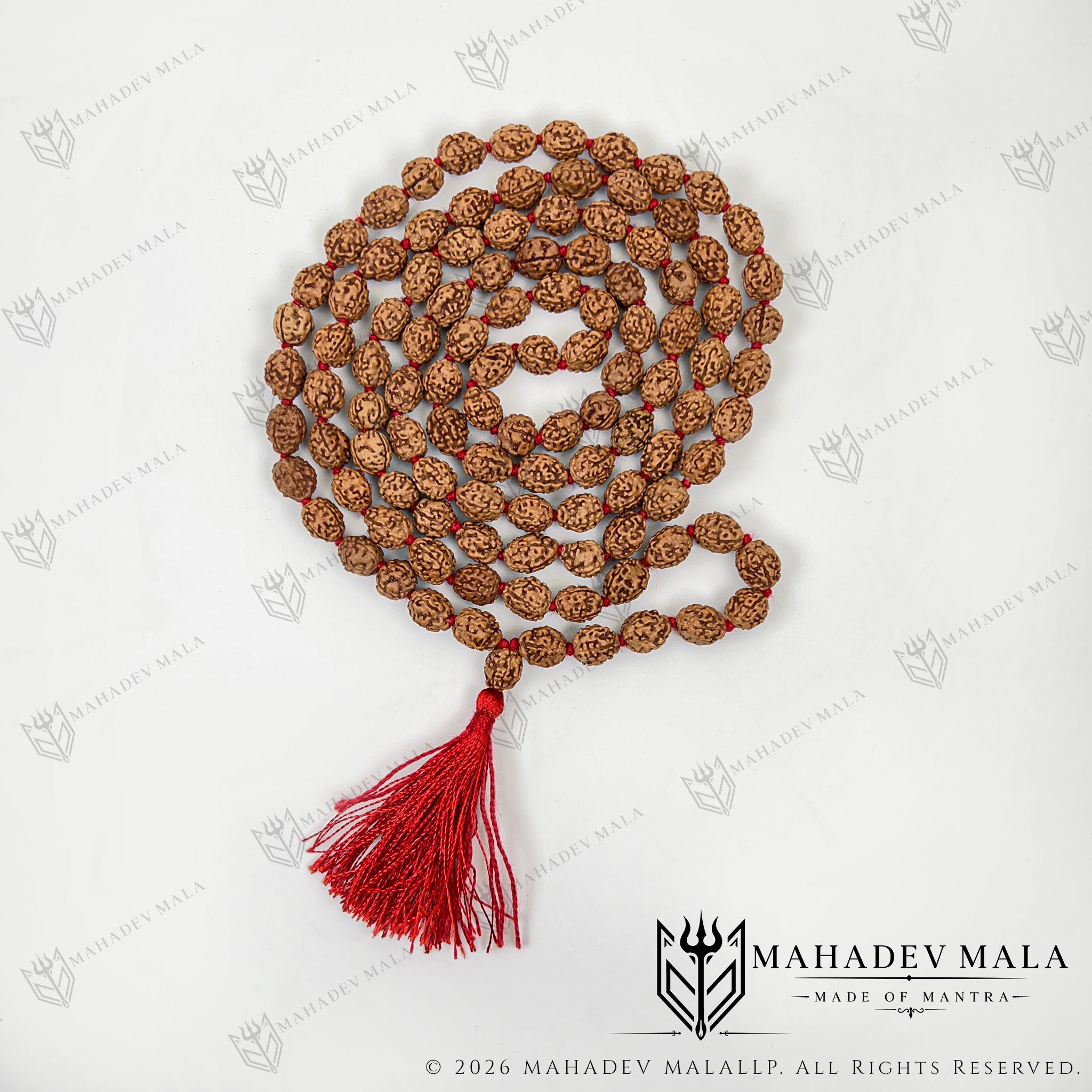 Coiled Indonesian 4 Mukhi Rudraksha Japa Mala with red tassel