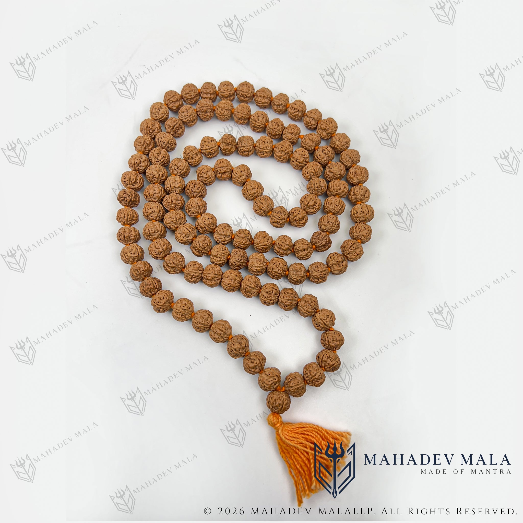 Alternate coiled view of Indonesian 5 Mukhi Rudraksha Japa Mala
