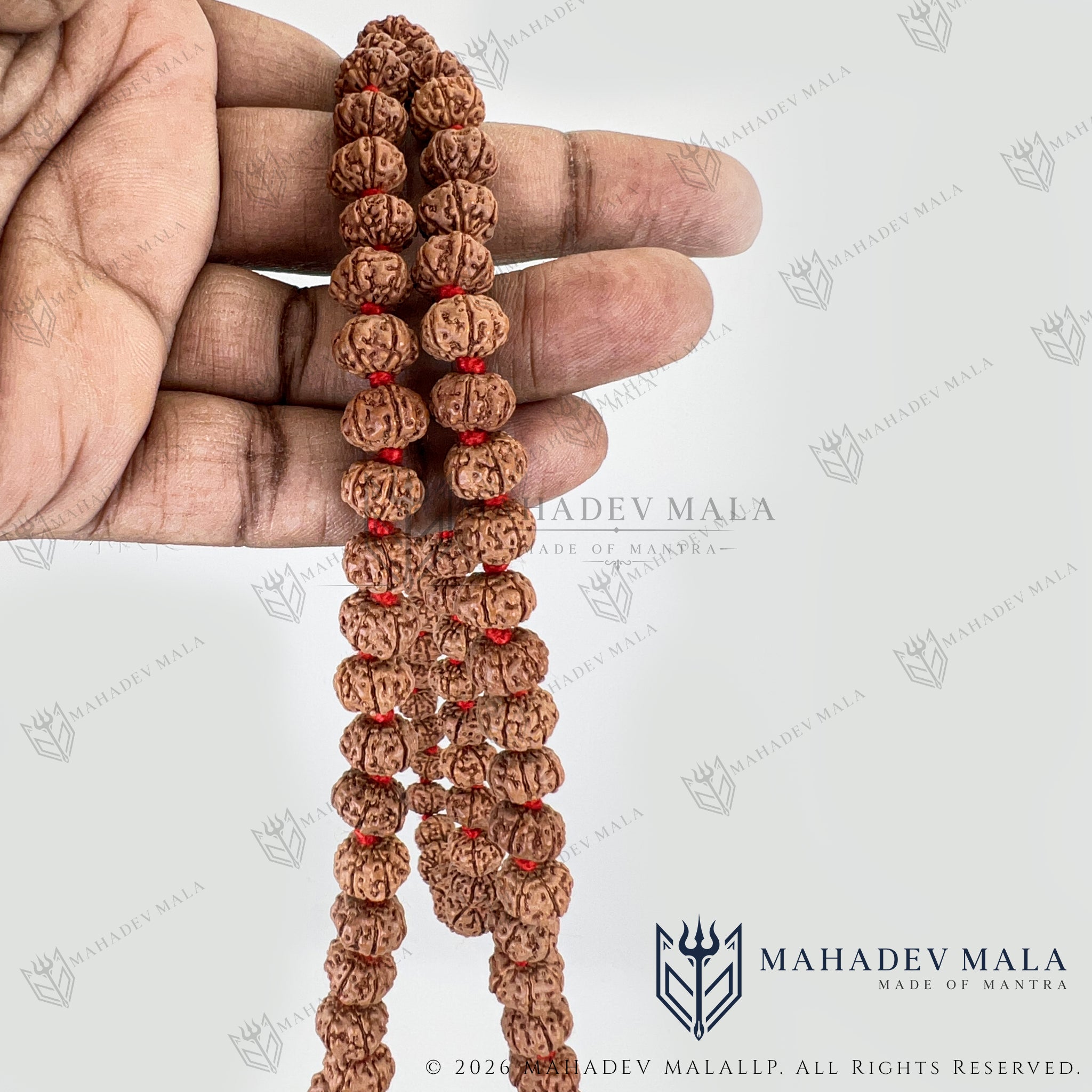 Indonesian 6 Mukhi Rudraksha Japa Mala held to show its bead length