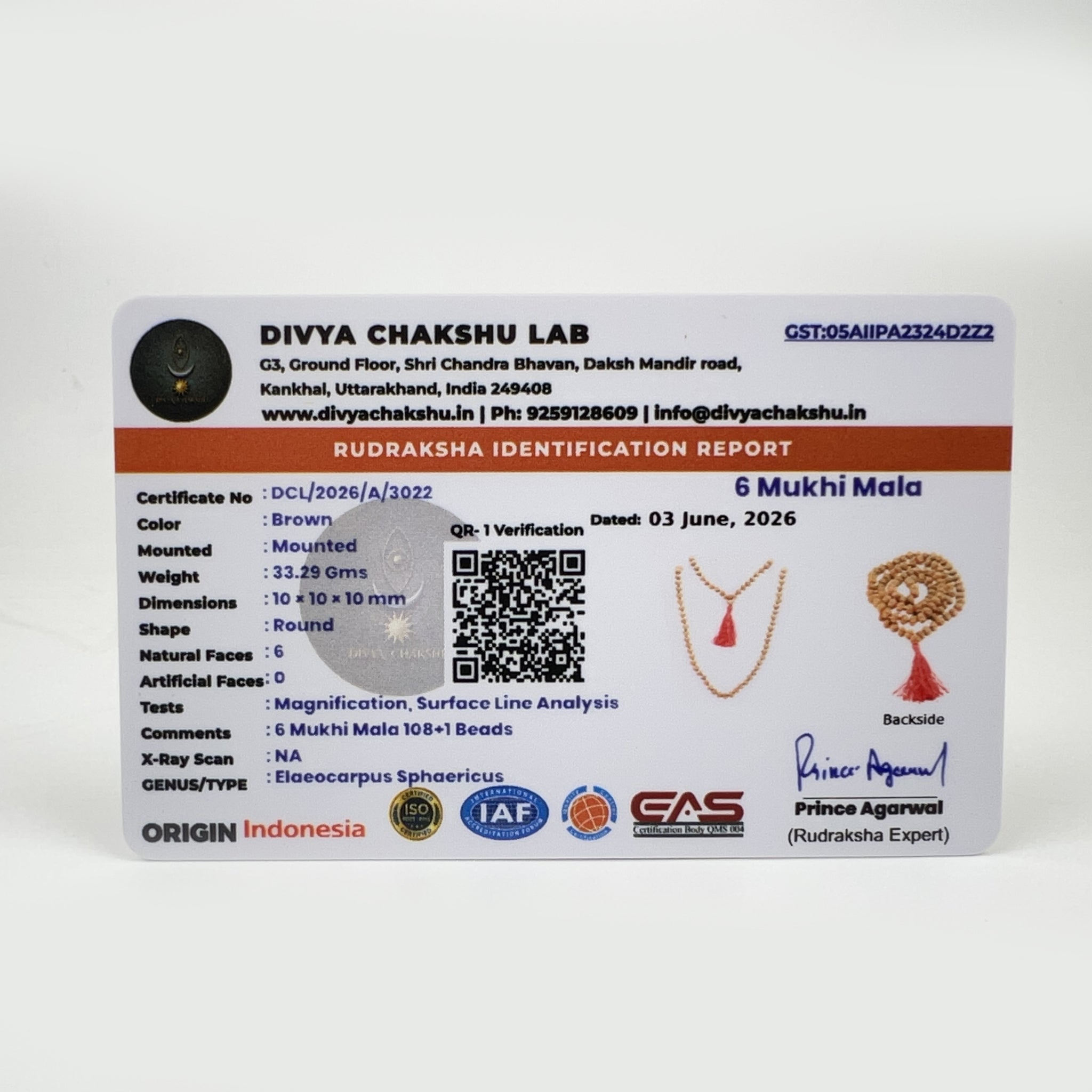 Lab certificate for Indonesian 6 Mukhi Rudraksha Japa Mala