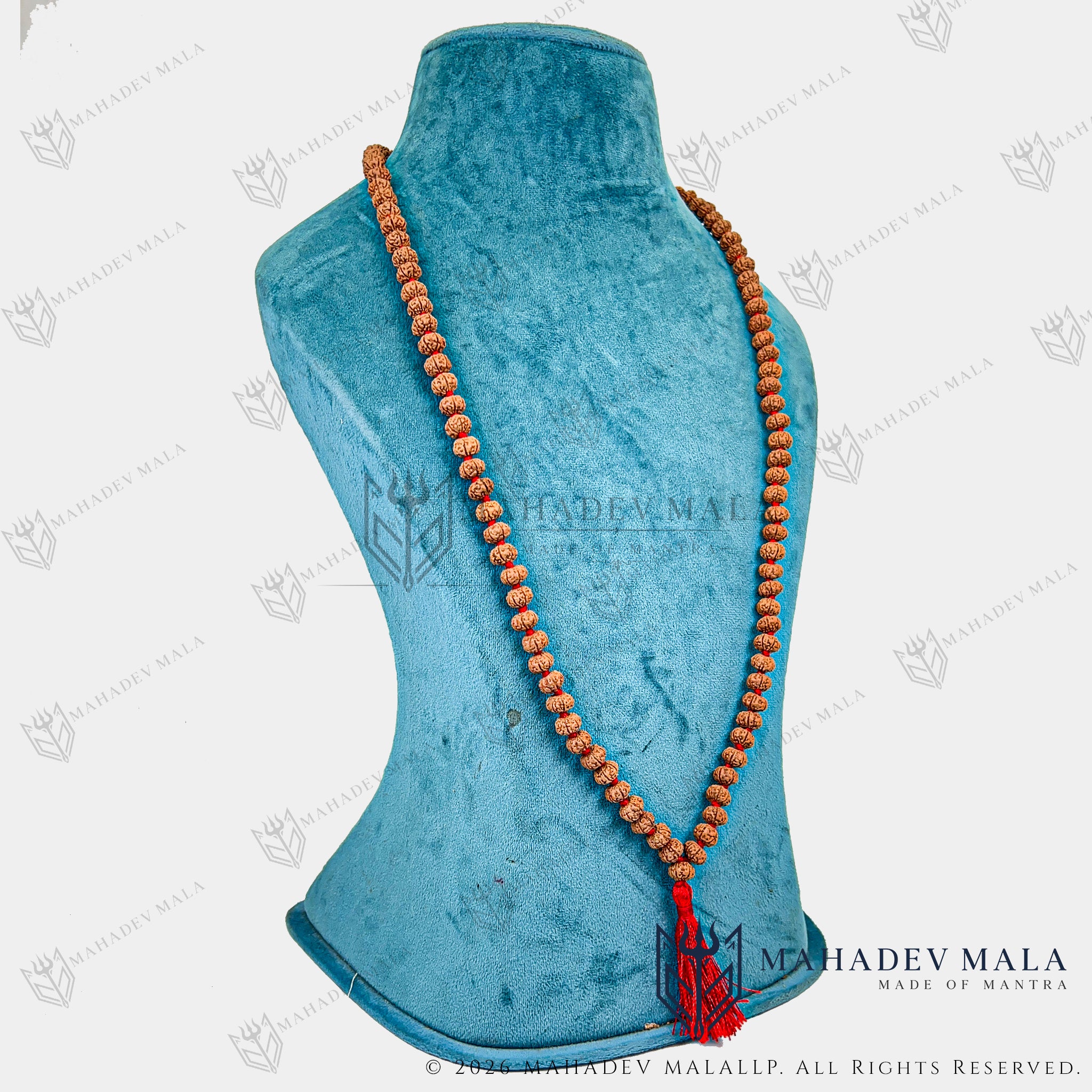 Alternate full-length display of Indonesian 6 Mukhi Rudraksha Japa Mala